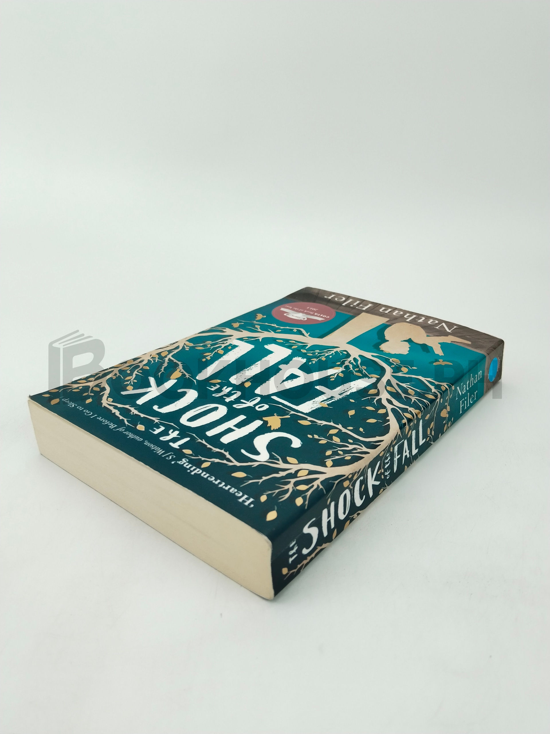 The Shock Of The Fall by Nathan Filer - Image 2