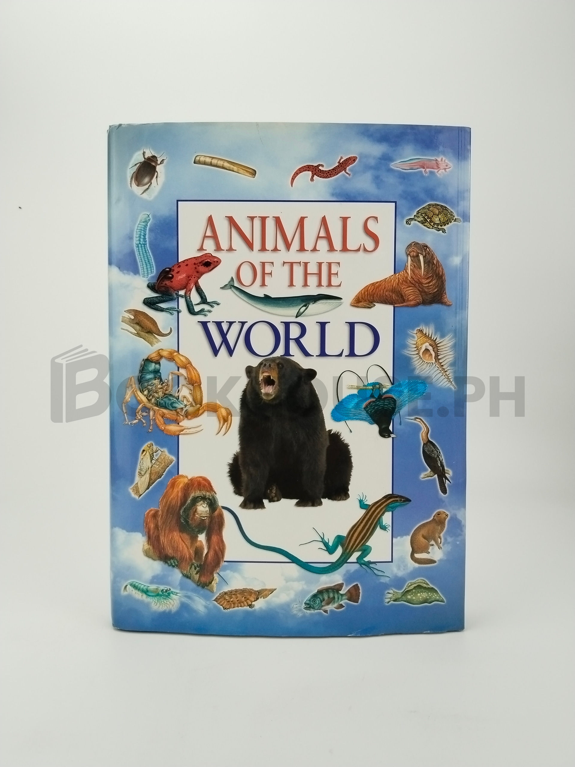 Animals Of The World by Martin Walters, Jinny Johnson