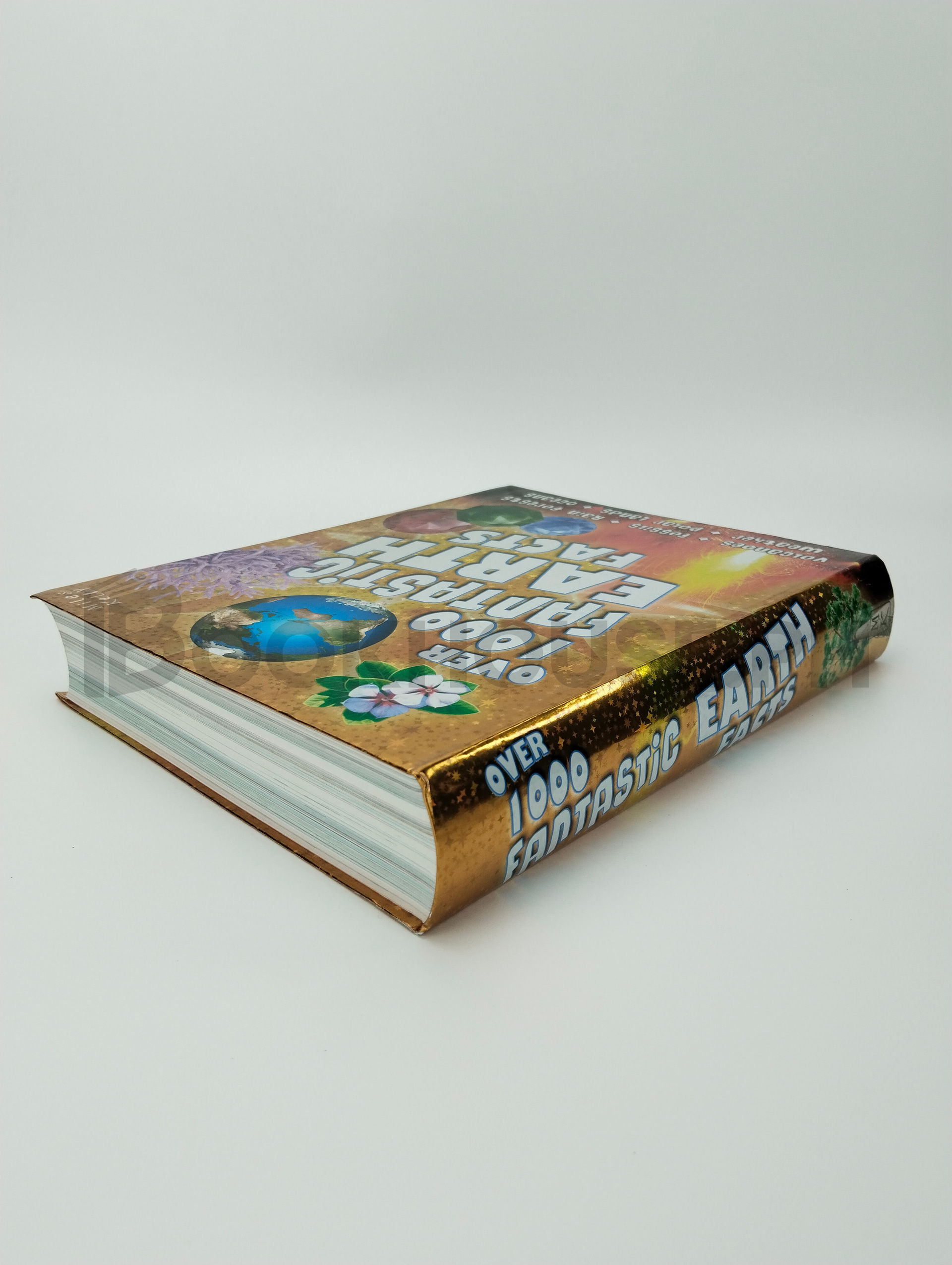 Over 1000 Fantastic Earth Facts by Belinda Gallagher - Image 2