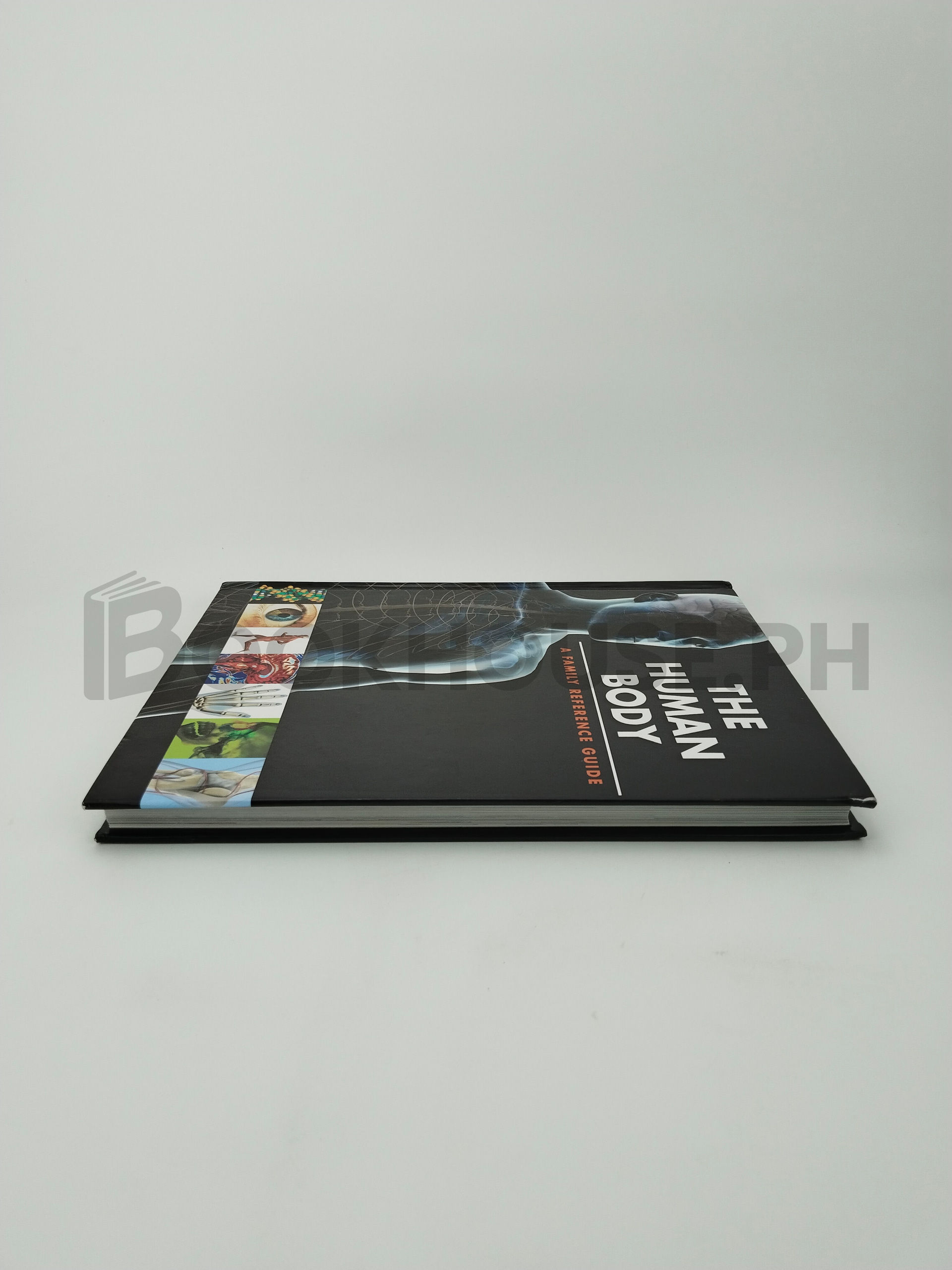 The Human Body by Guy Croton - Image 4