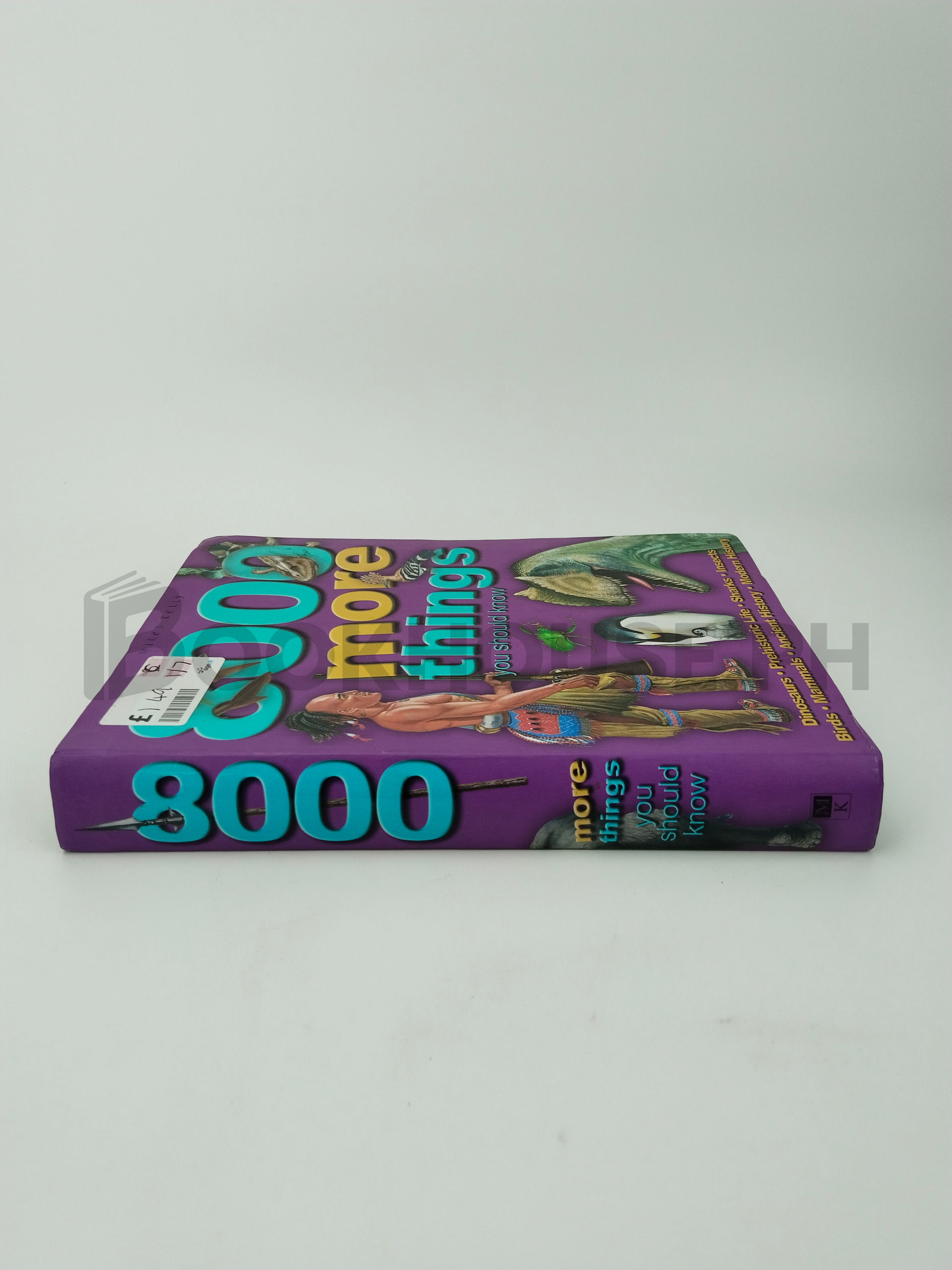 8000 More Things You Should Know by Miles Kelly Publishing, Limited - Image 3
