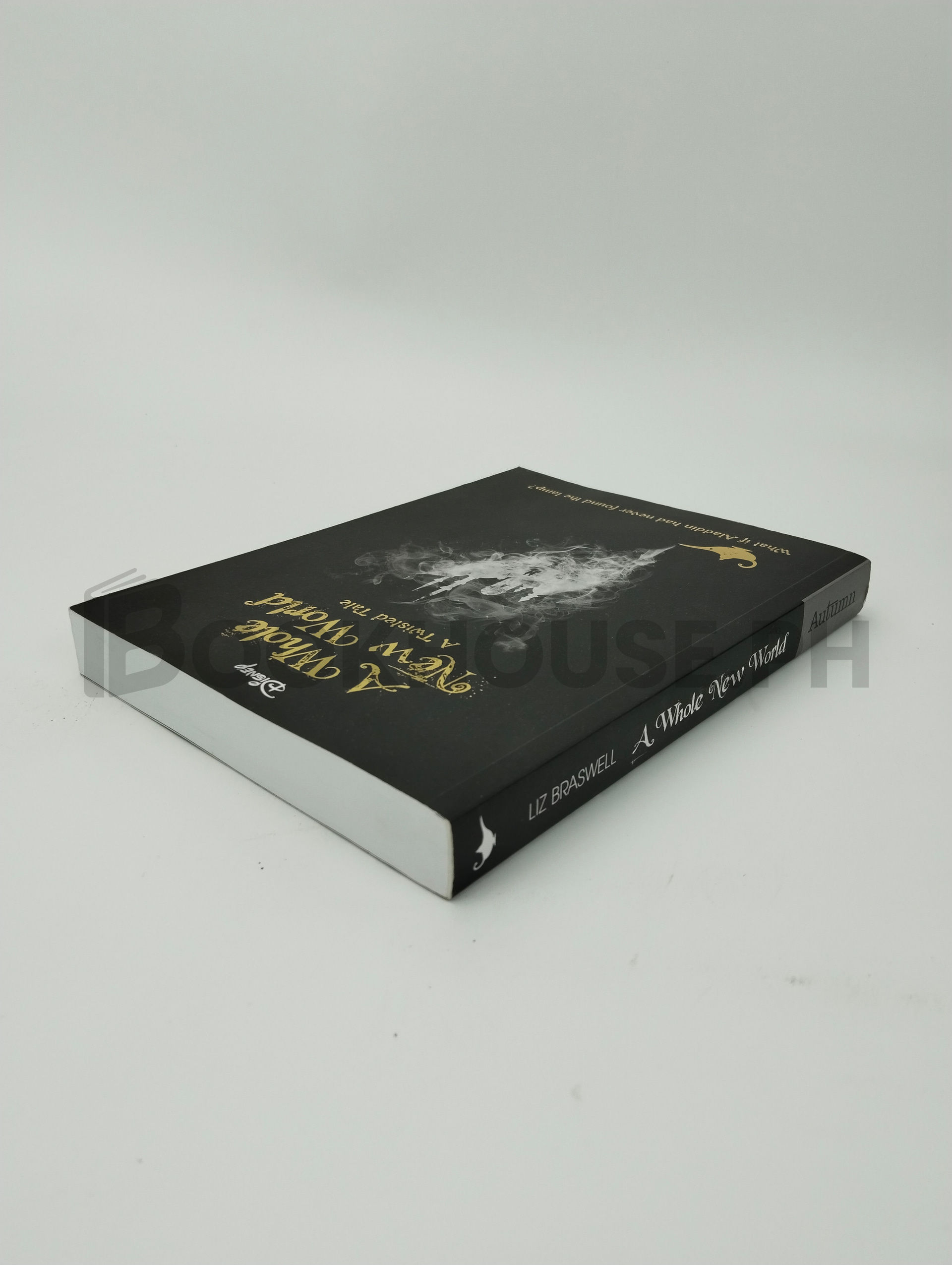 Aladdin: A Whole New World by Autumn Publishing - Image 2