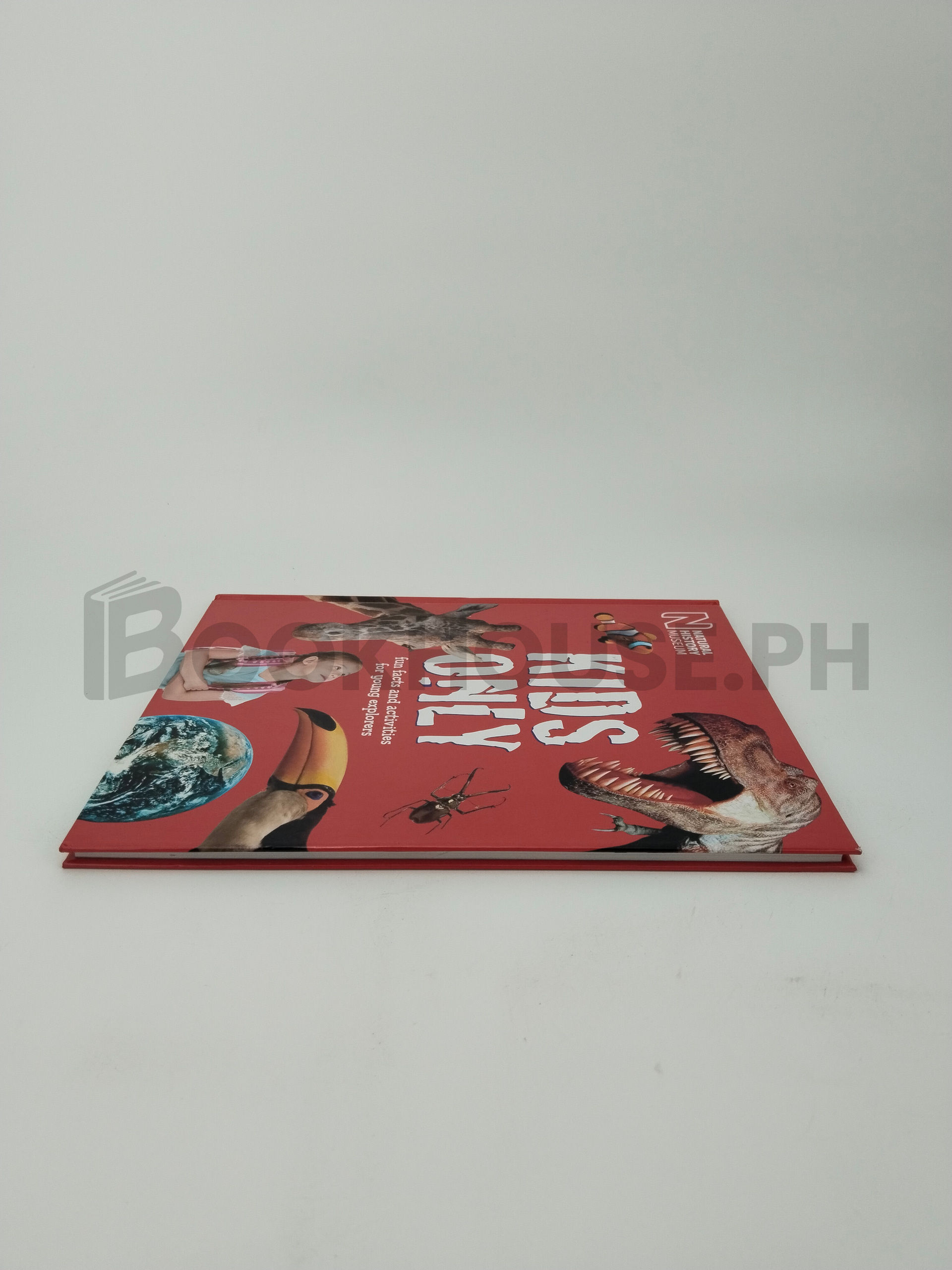 Kids Only by Miranda Macquitty - Image 4