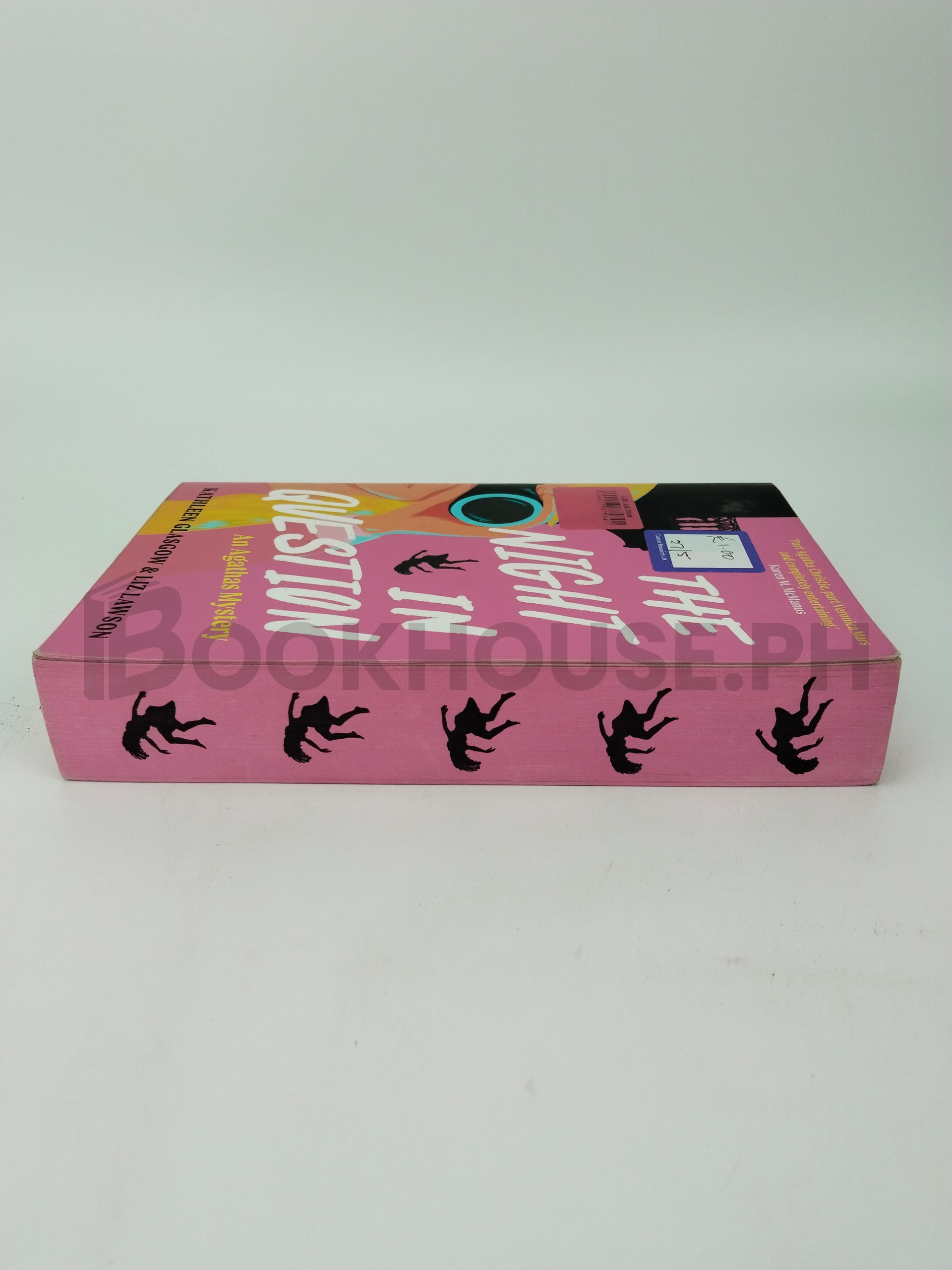 The Night In Question by Kathleen Glasgow & Liz Lawson - Image 4