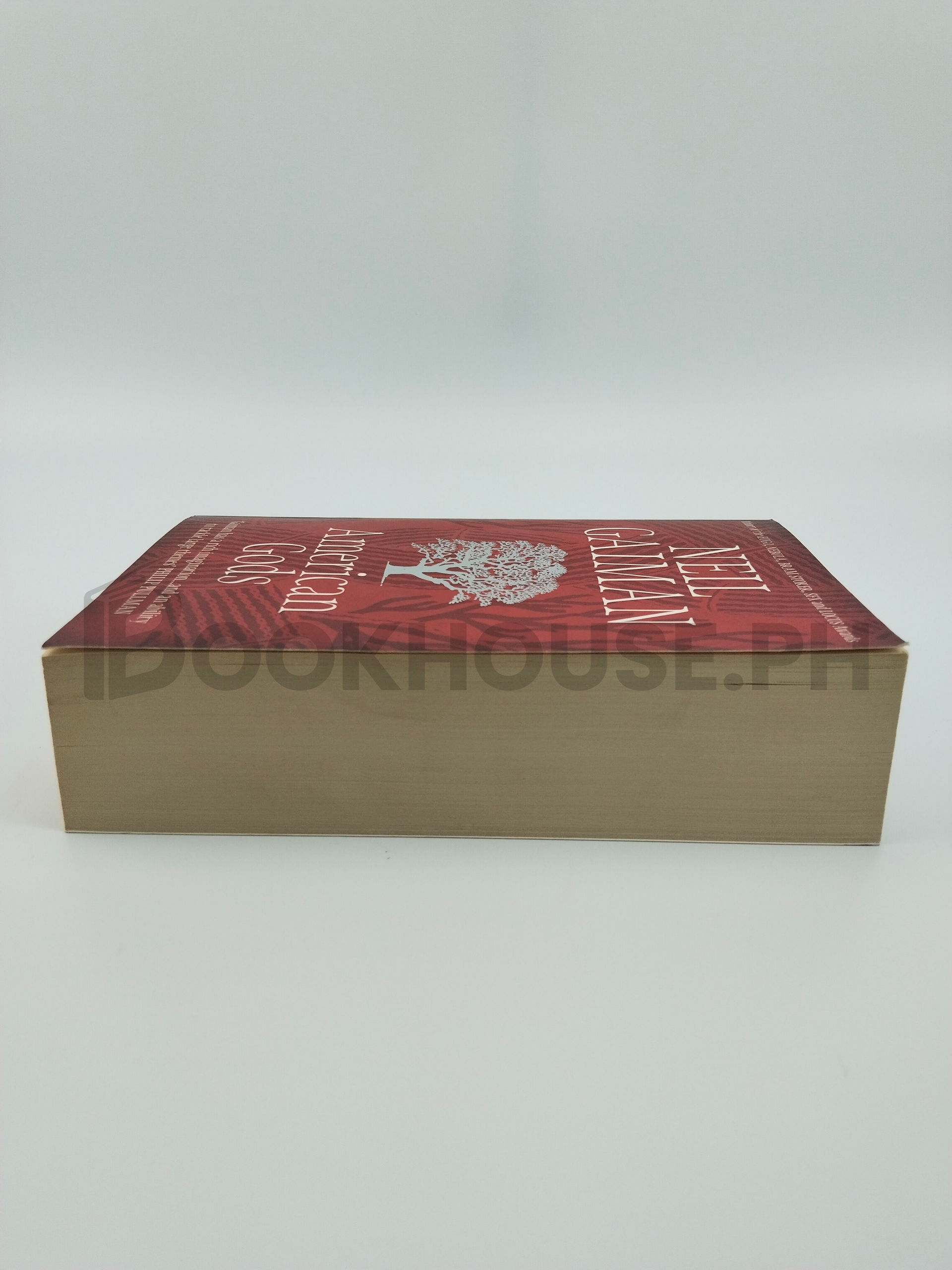 American Gods by Neil Gaiman - Image 4