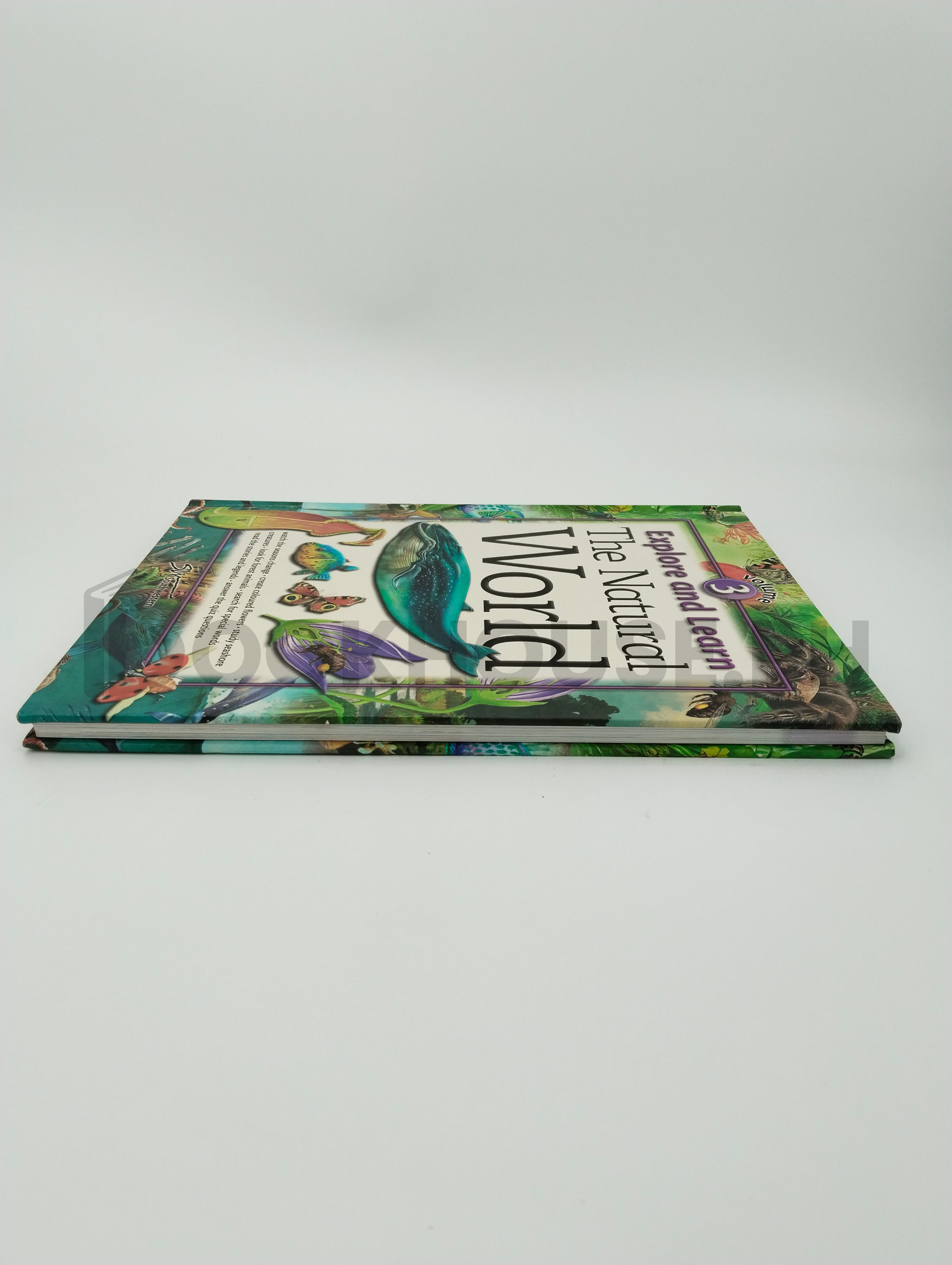 Science And Technology by Belinda Gallagher, Lisa Regan - Image 4