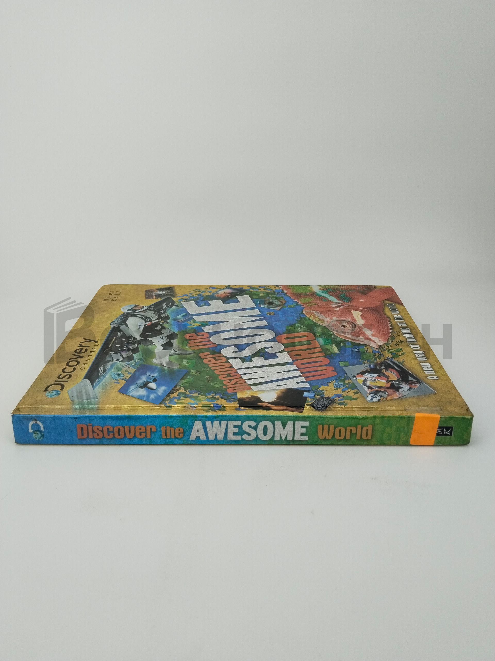 Discover The Awesome World by Camilla De La Bédoyère, Amanda Askew - Image 3