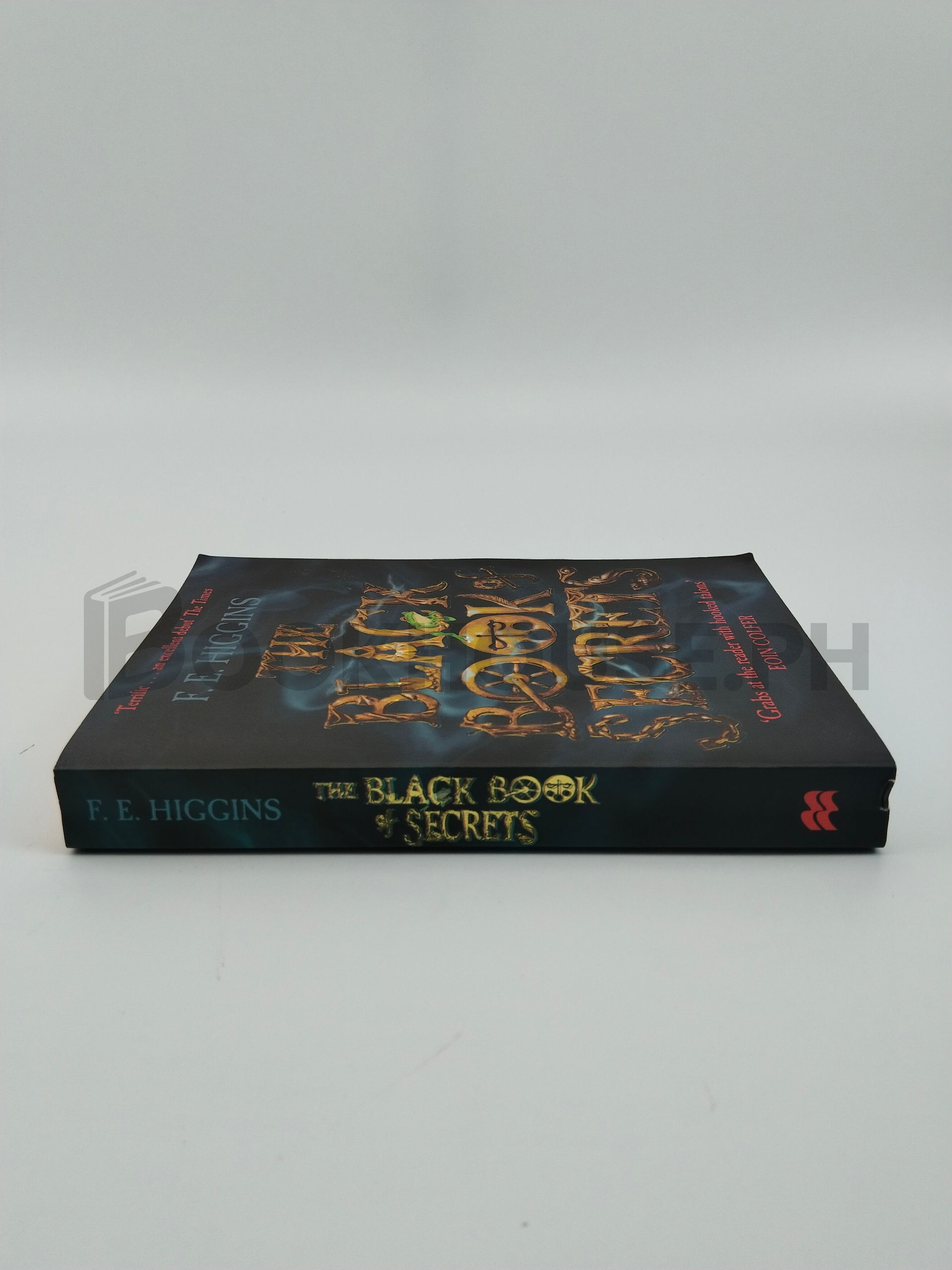 The Black Book Of Secrets by F. E. Higgins - Image 3