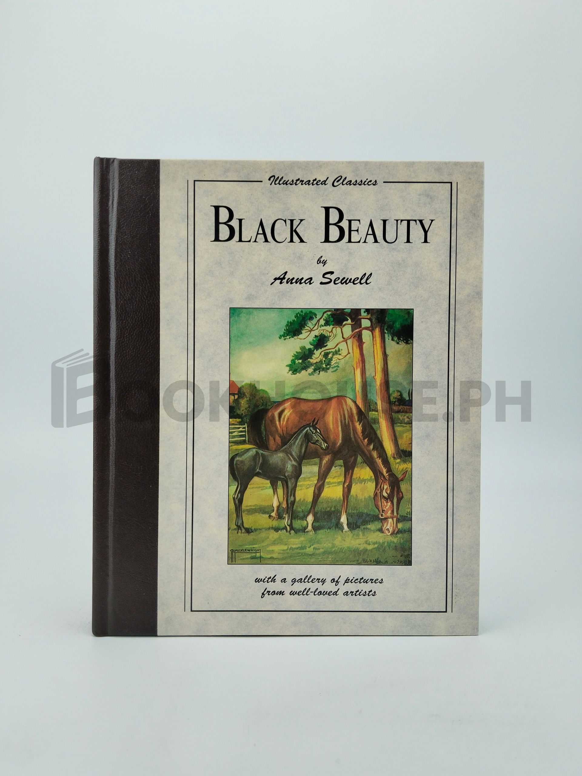Black Beauty by Anna Sewell