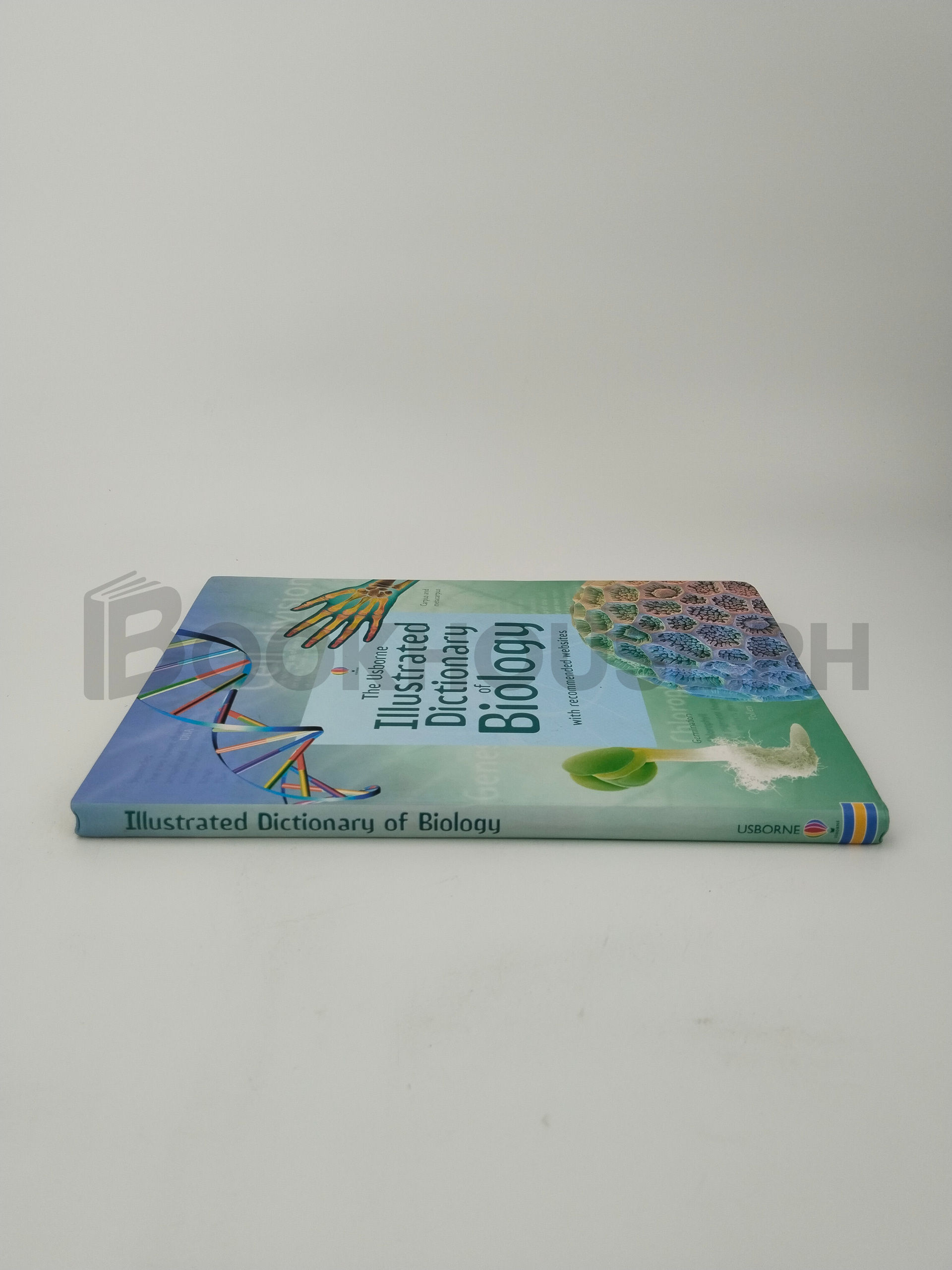 Illustrated Dictionary Of Biology by Corinne Stockley, J. Wertheim - Image 3