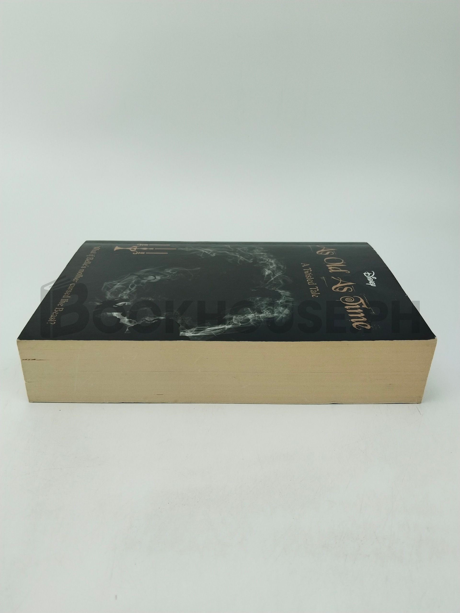 As Old As Time by Liz Braswell - Image 4