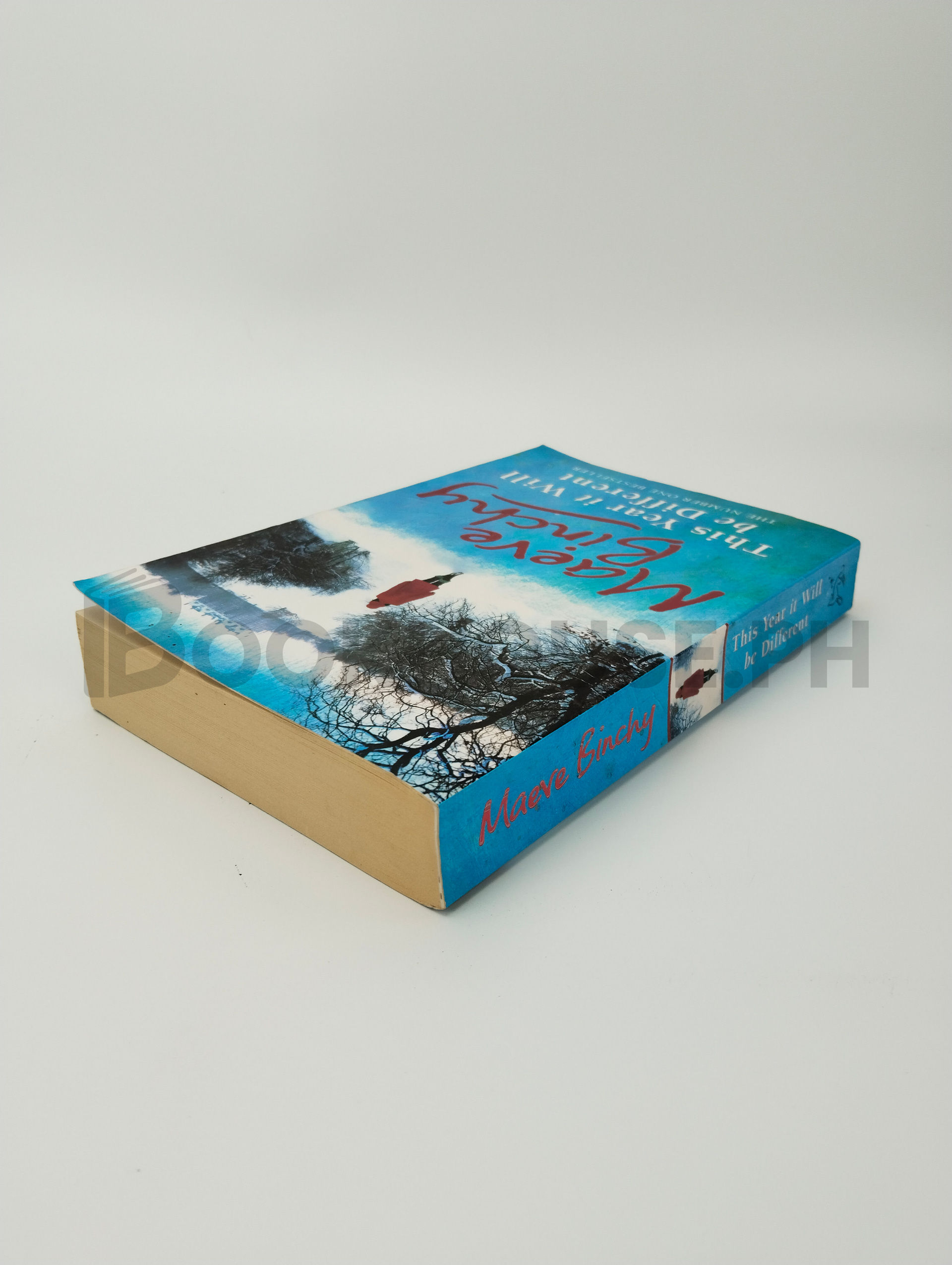 This Year It Will Be Different by Maeve Binchy - Image 2