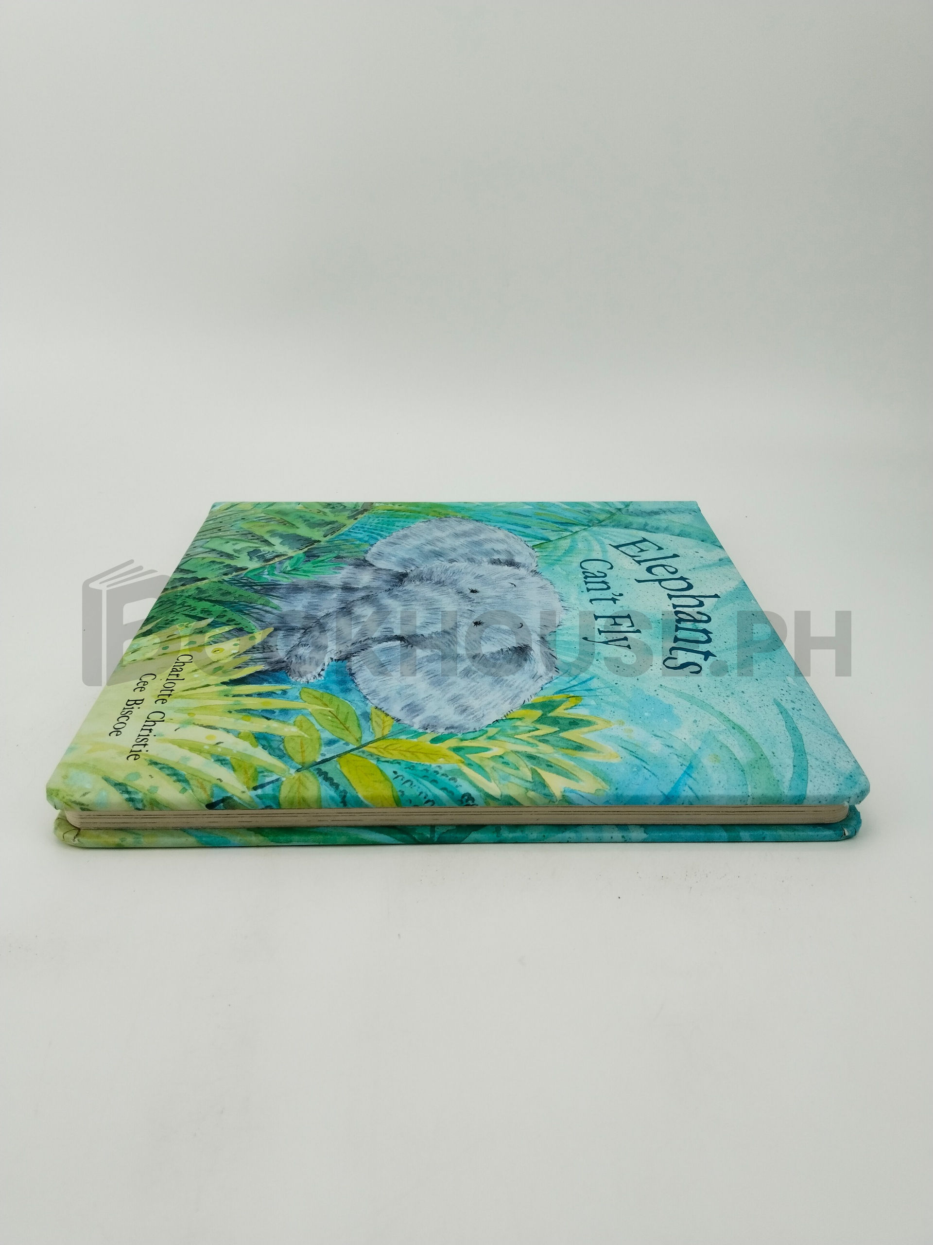 Elephants Can't Fly by Charlotte Christie, Cee Biscoe - Image 4