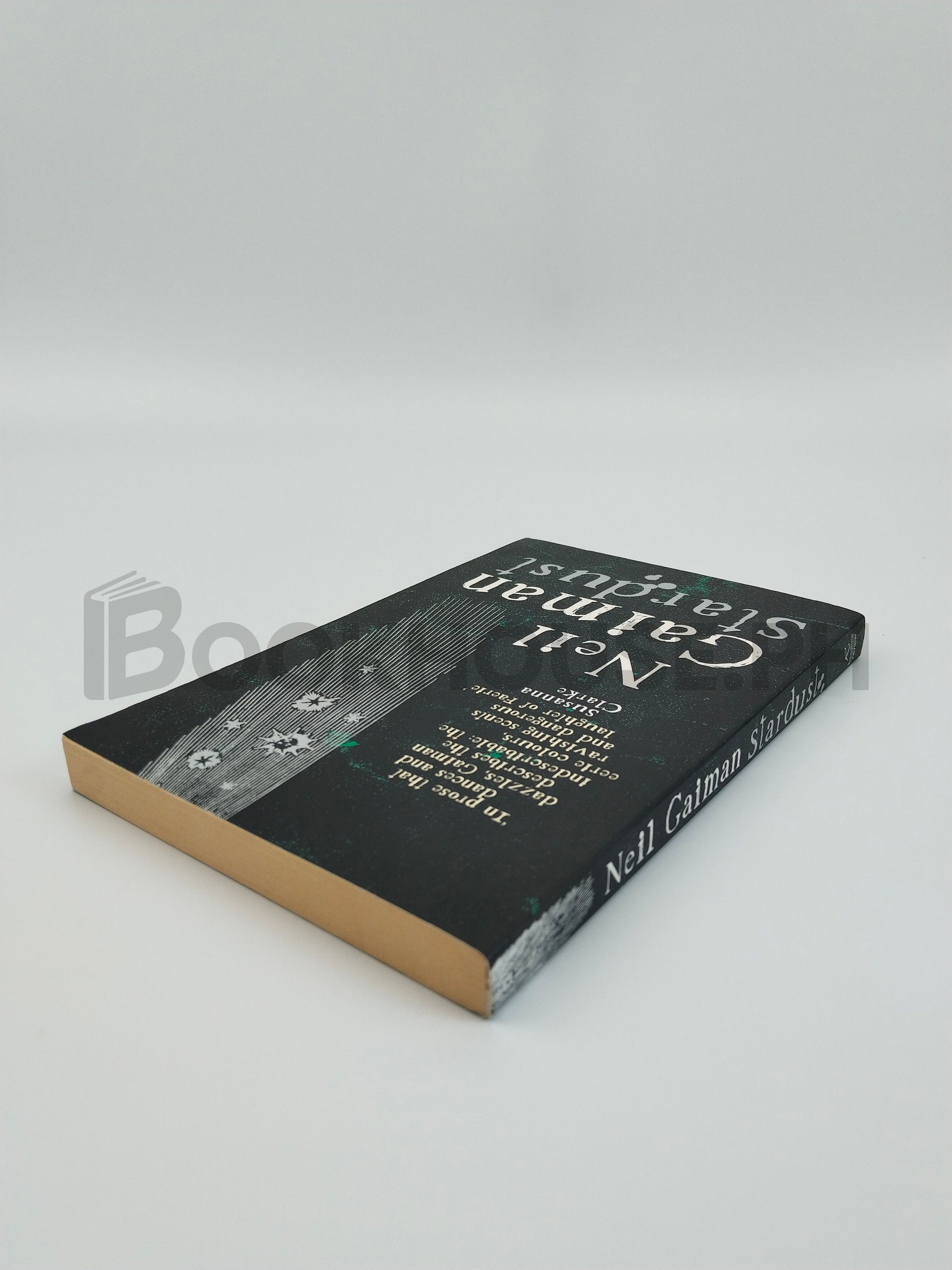 Stardust by Neil Gaiman - Image 2