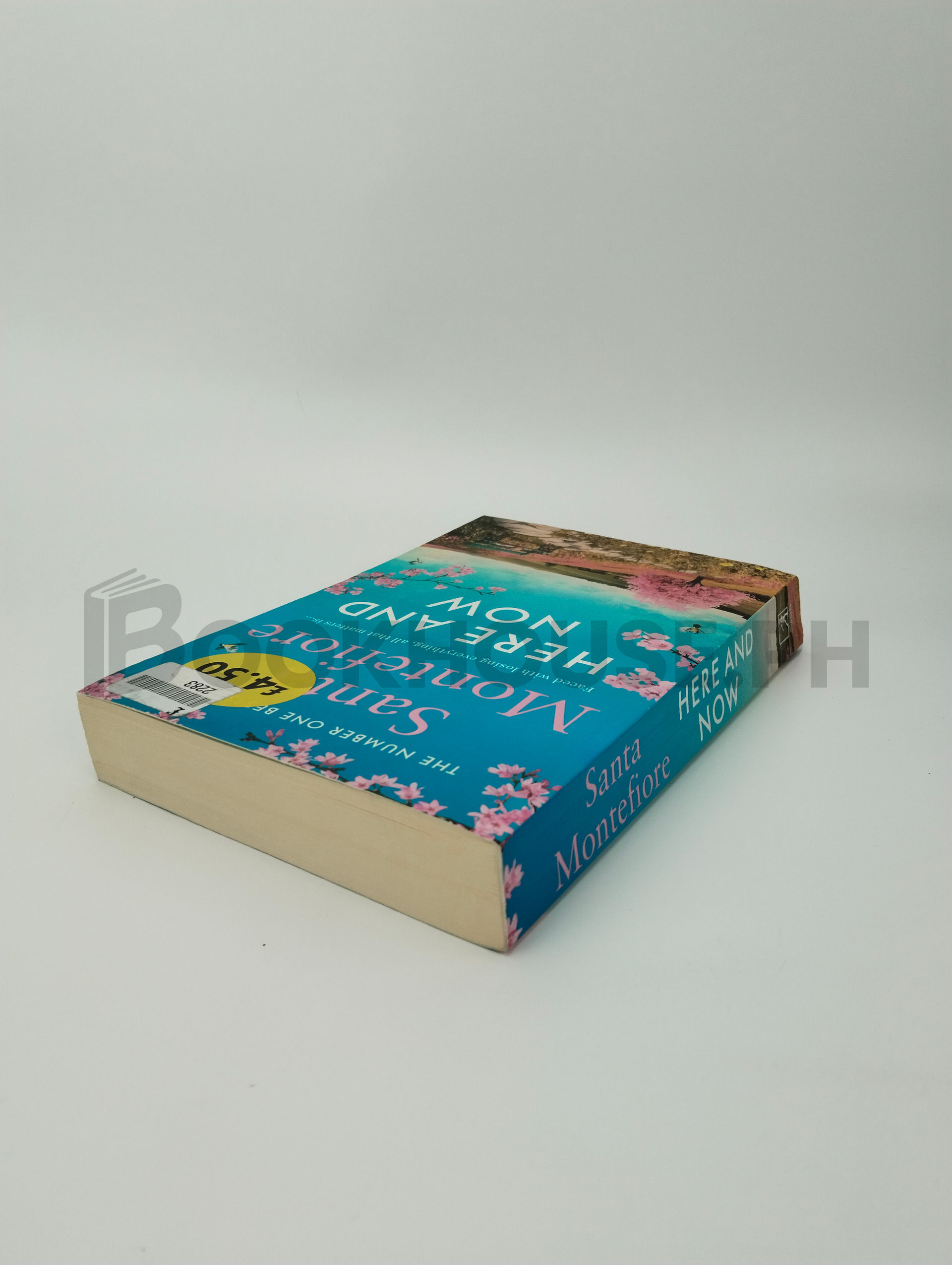 Here And Now by Santa Montefiore - Image 2