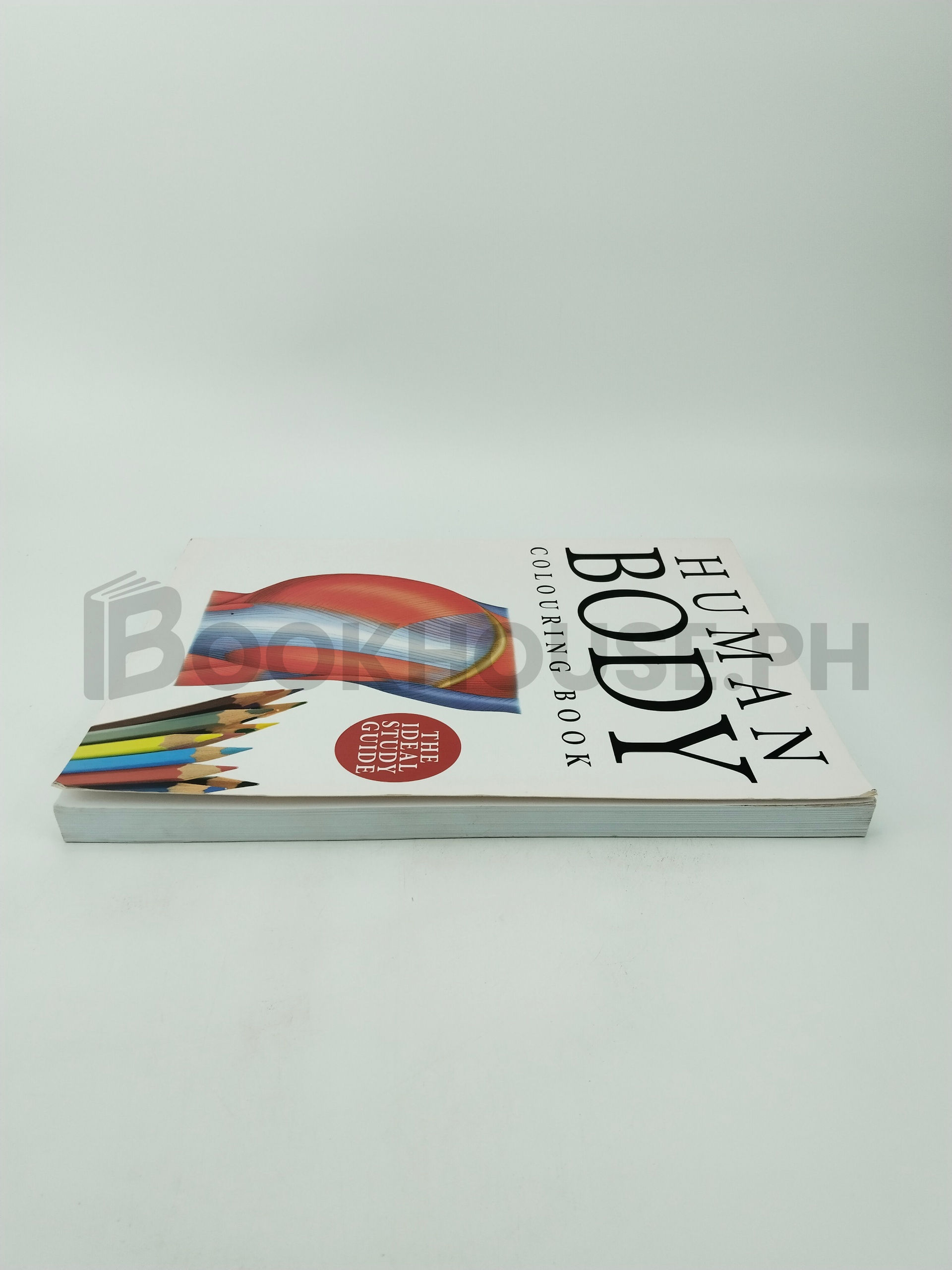 Human Body Colouring Book by Amber - Image 4