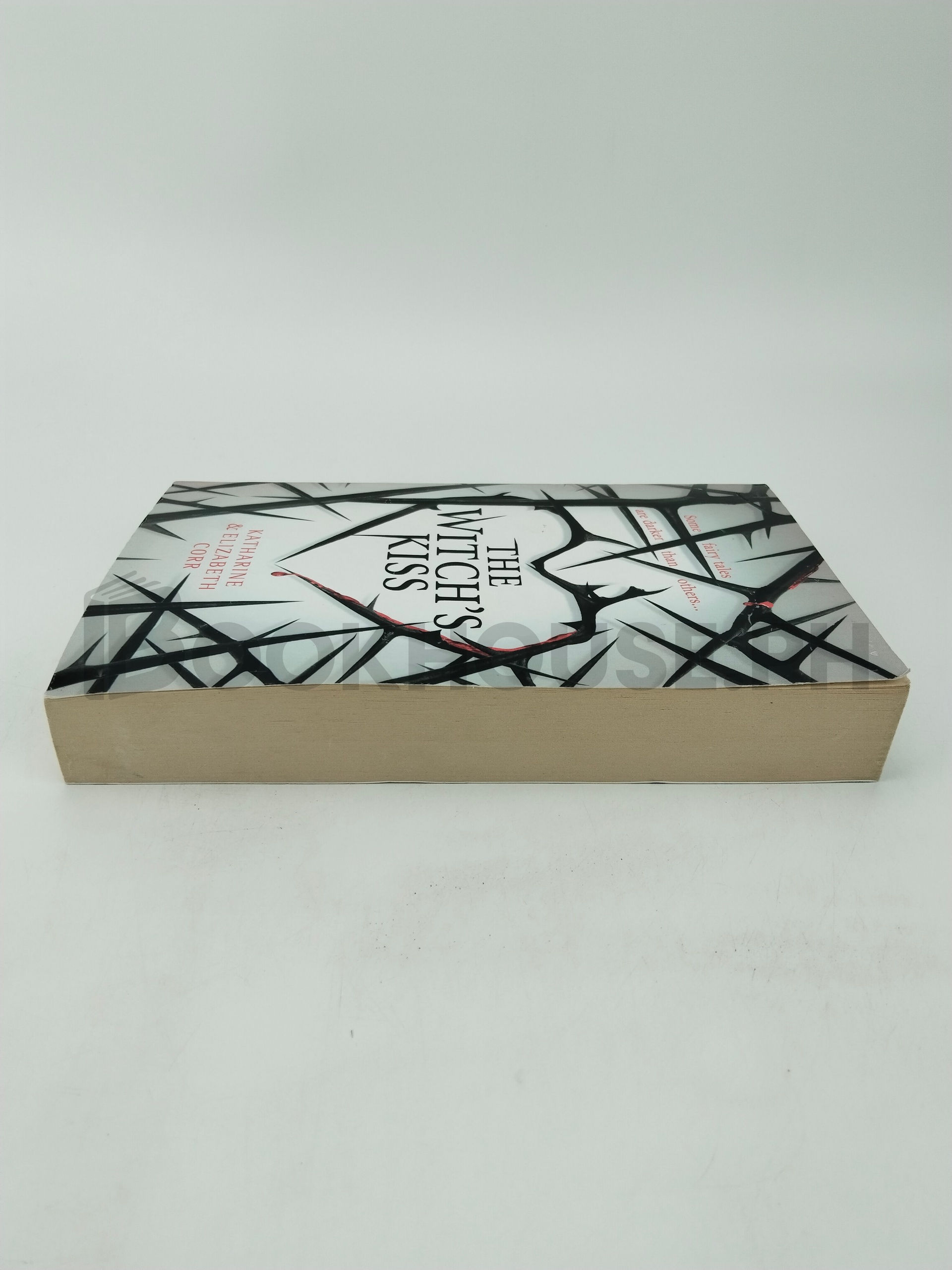 The Witch's Kiss by Katharine Corr, Elizabeth Corr - Image 4