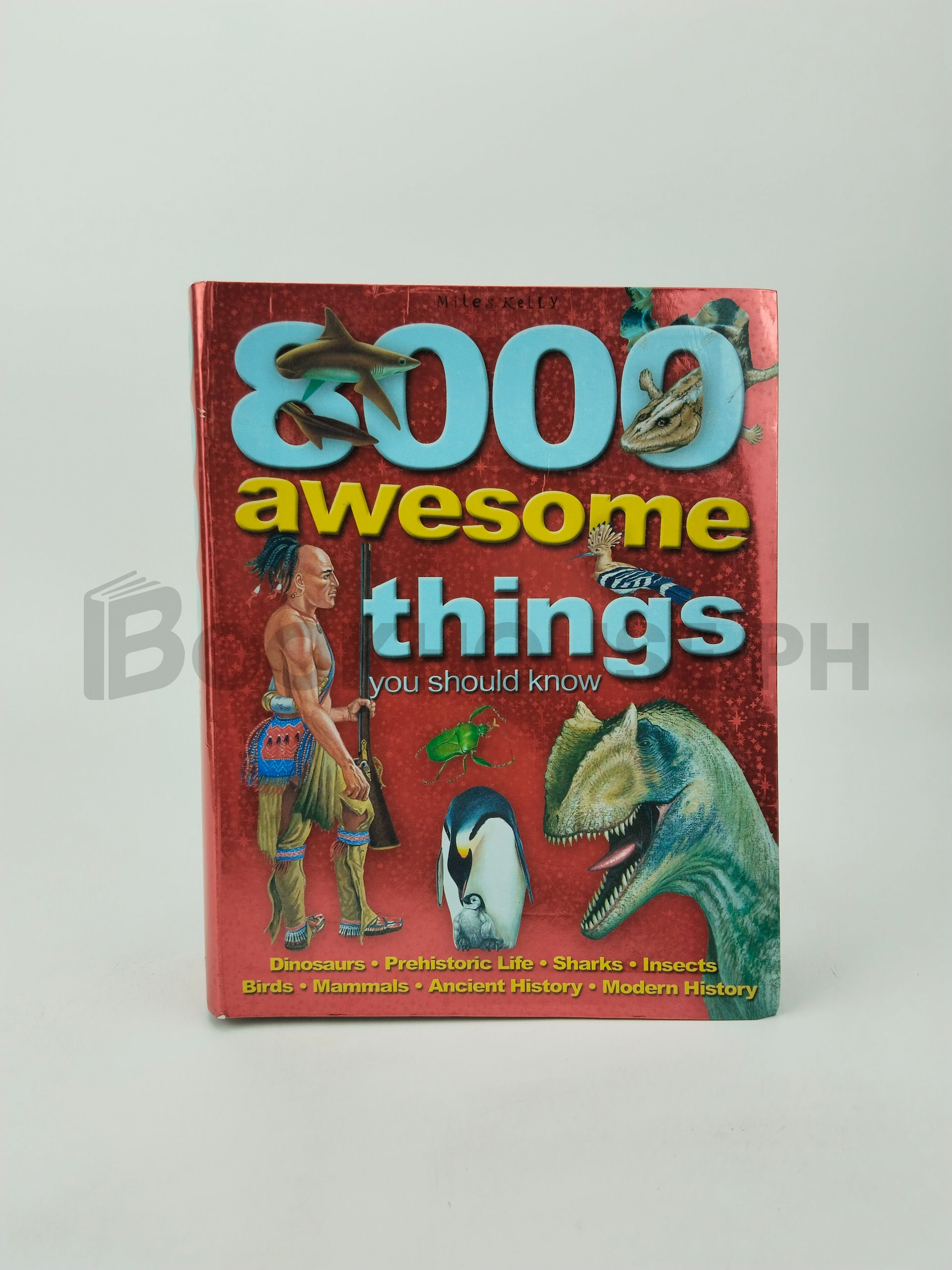 8000 Awesome Things You Should Know by Miles Kelly