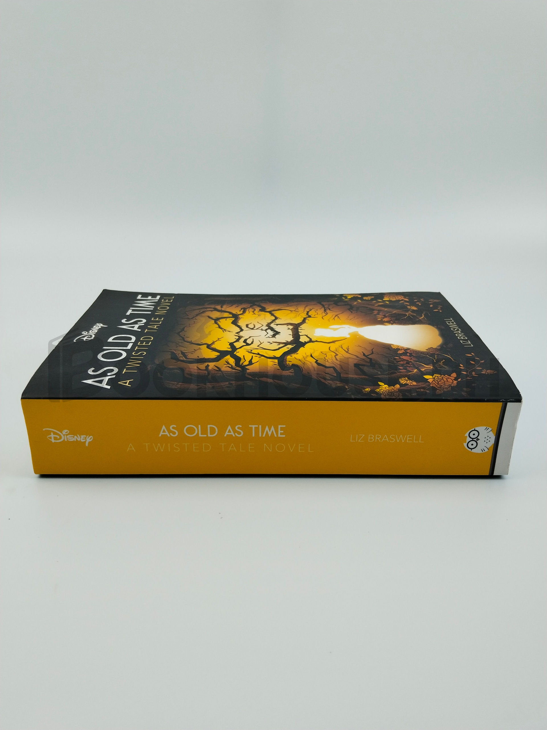 Disney Princess Beauty And The Beast: As Old As Time by Liz Braswell - Image 3