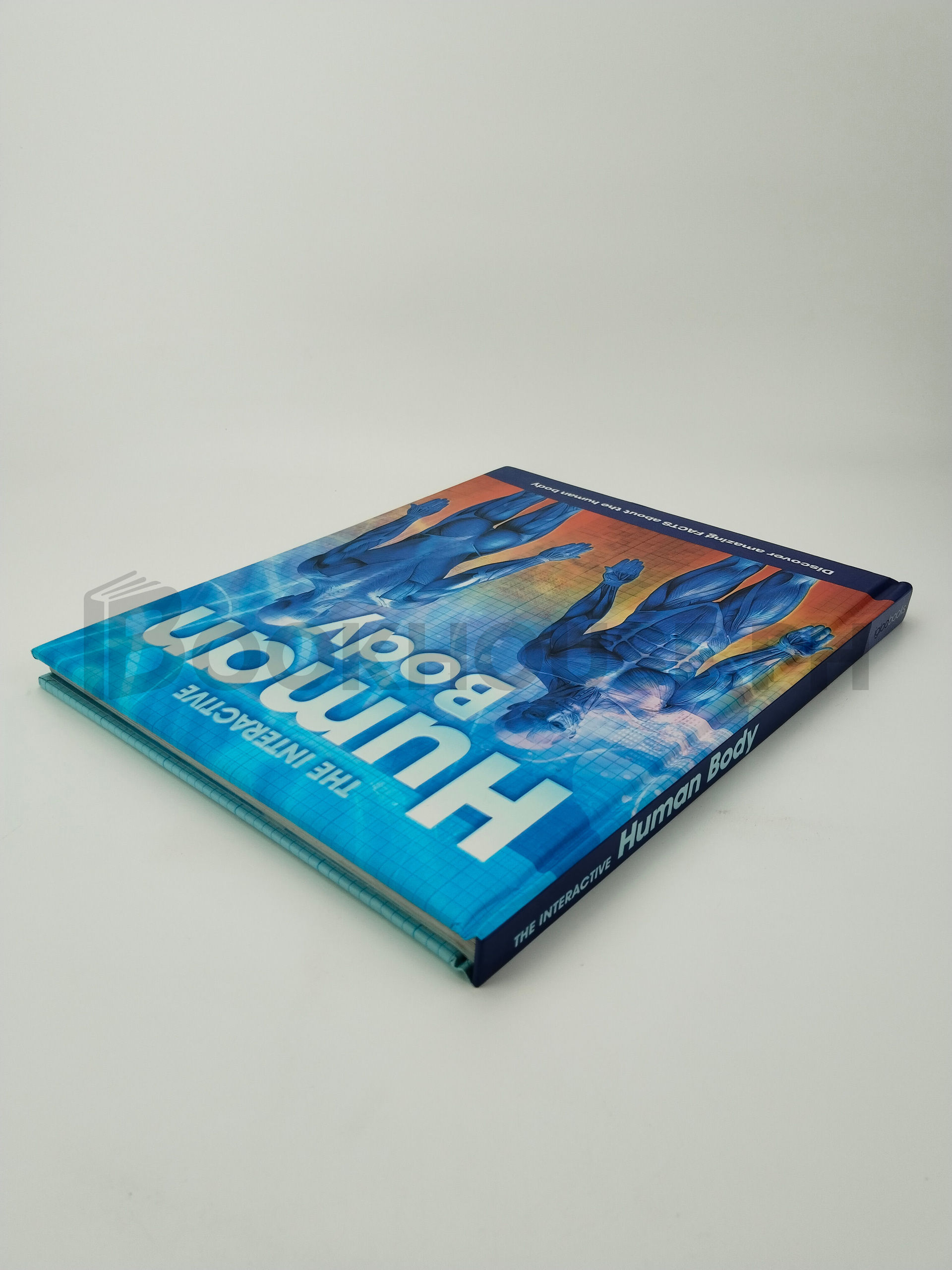 The Interactive Human Body by Igloo Books - Image 2