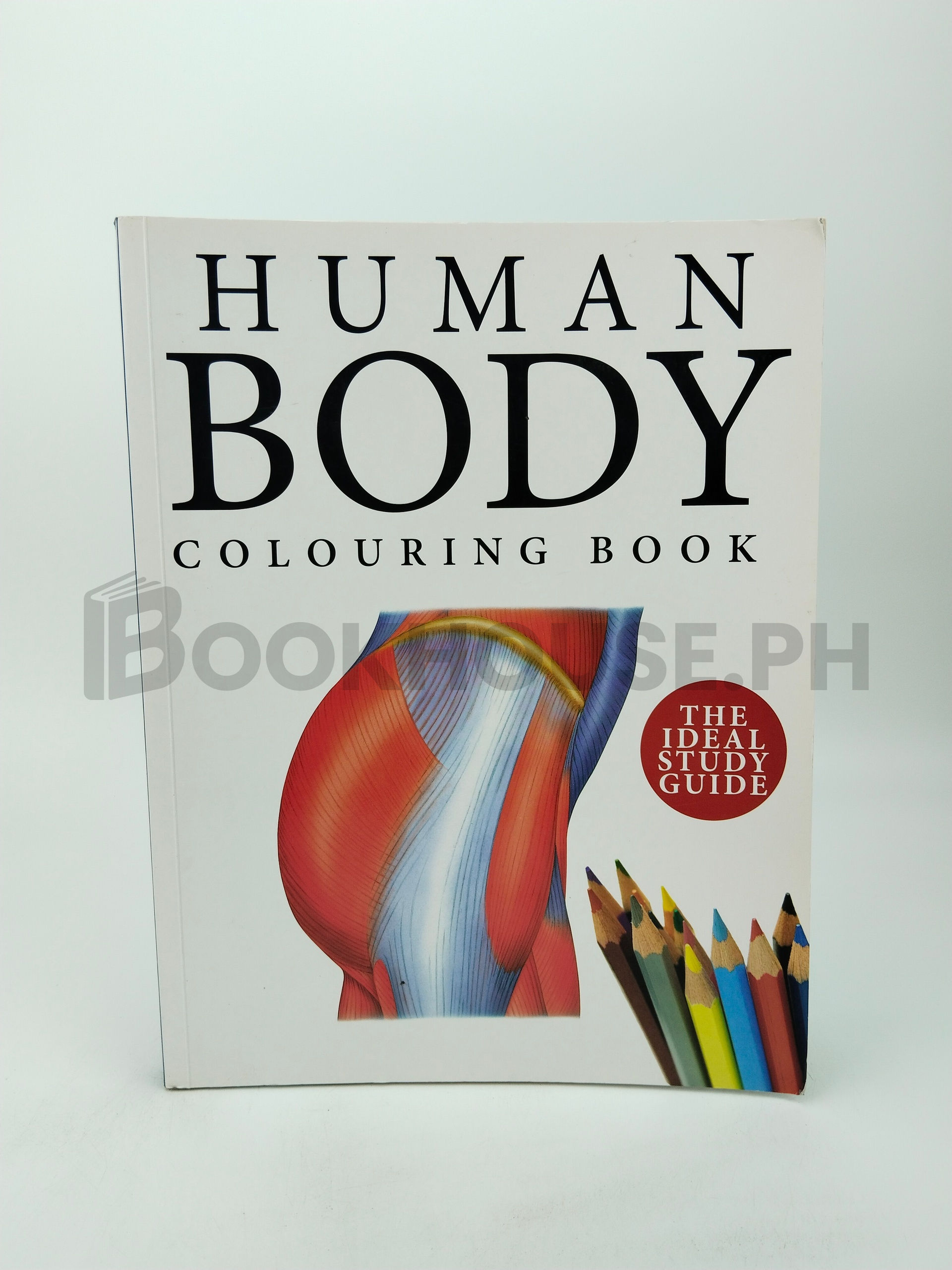 Human Body Colouring Book by Amber
