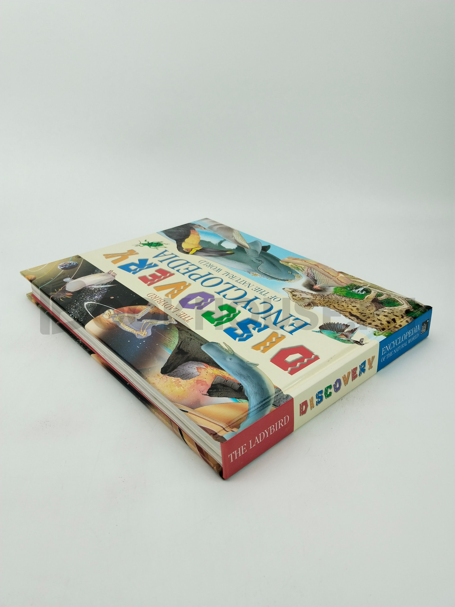 The Ladybird Discovery Encyclopedia Of The Natural World by Colour Library Direct - Image 2