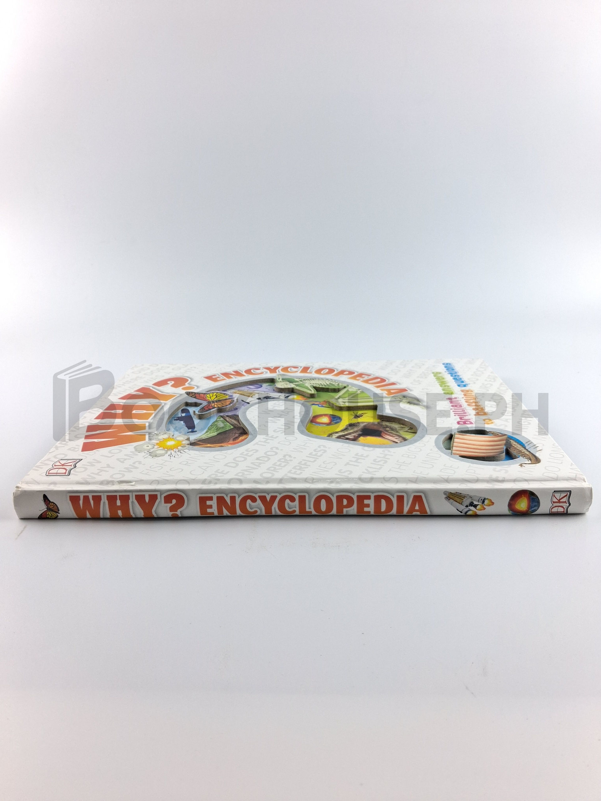Why? Encyclopedia by Dorling Kindersley Publishing Staff - Image 3
