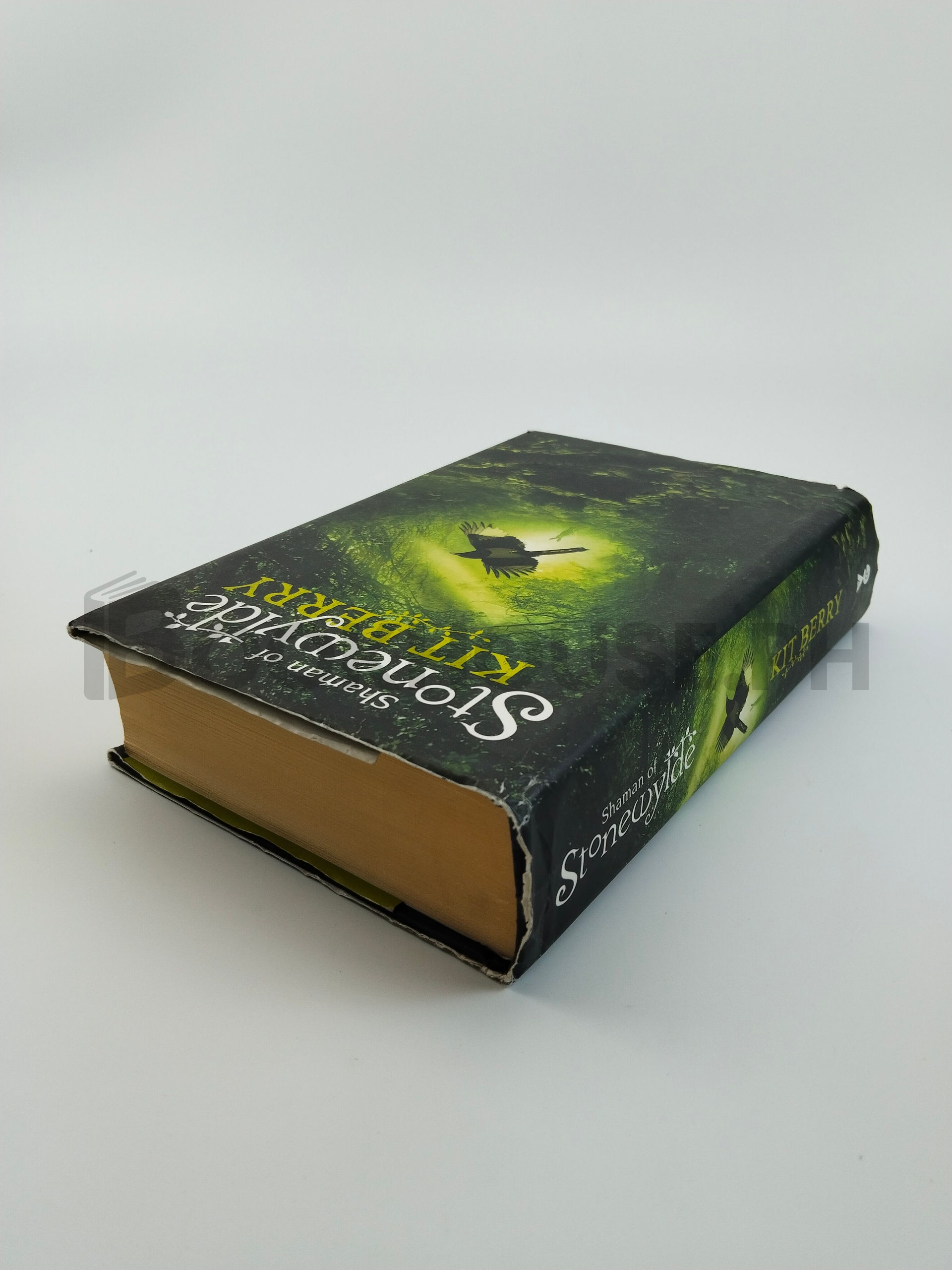 Shaman Of Stonewylde by Kit Berry - Image 2