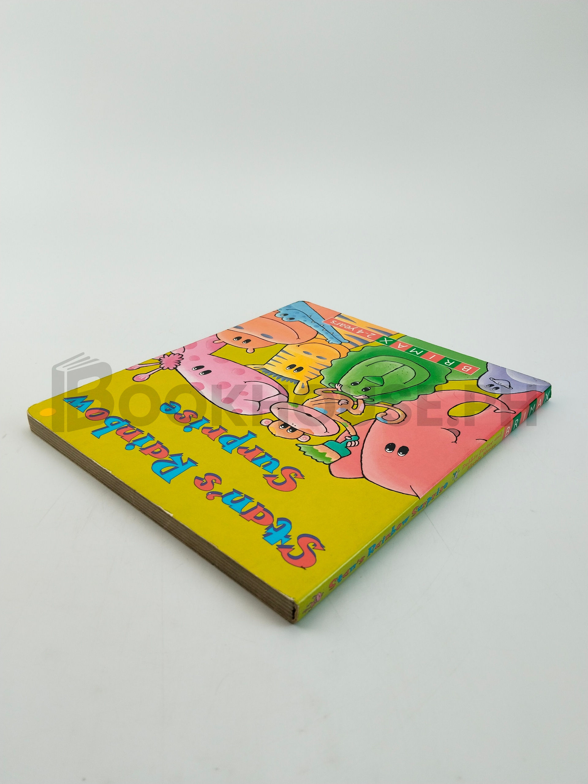 Stan's Rainbow Surprise by Debbie Foster - Image 2