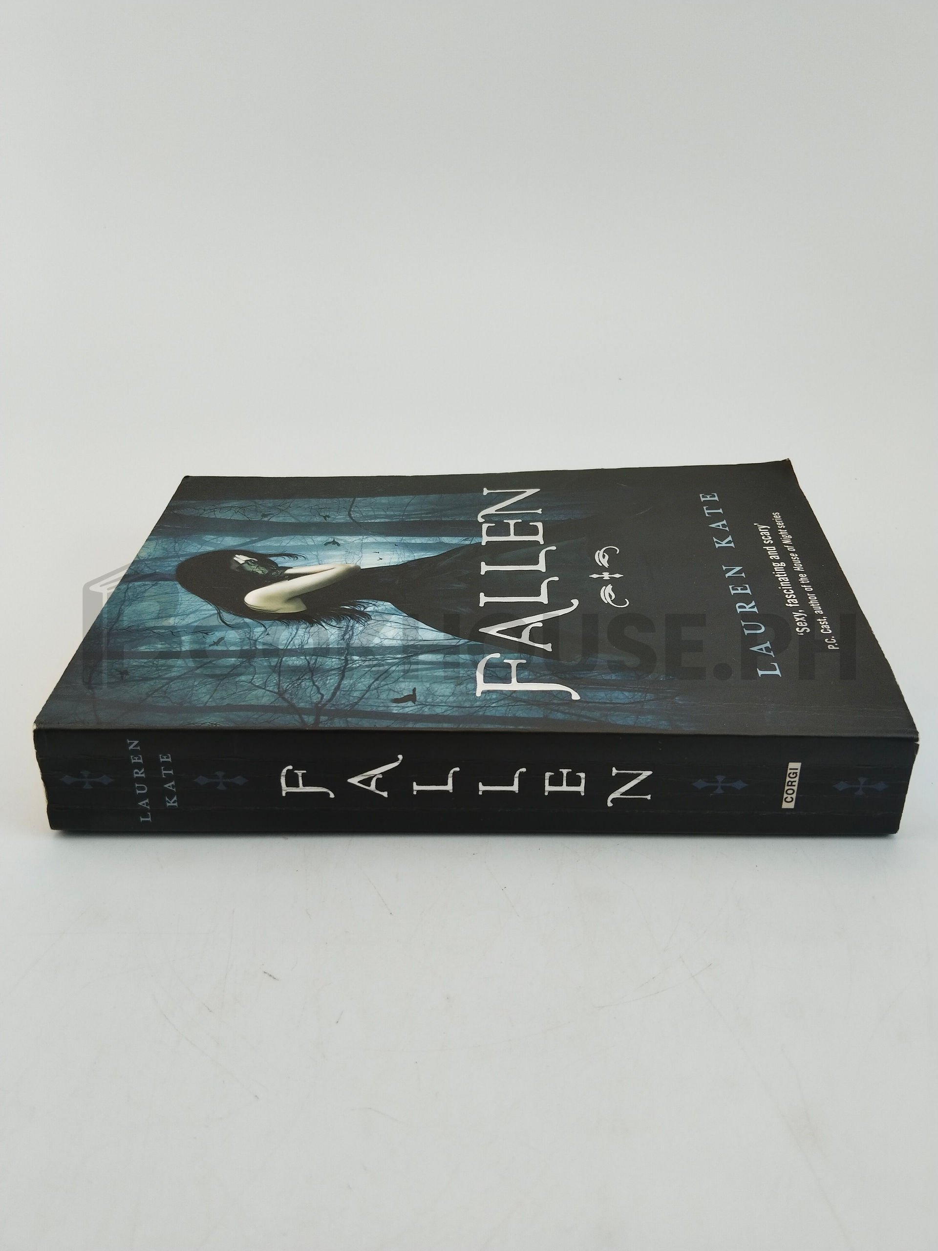 Fallen by Lauren Kate - Image 3