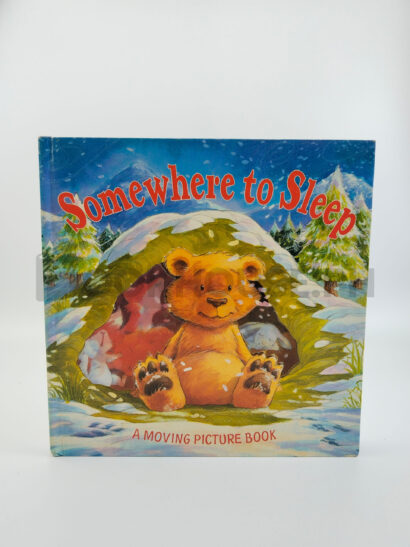 Somewhere To Sleep by Ted Smart