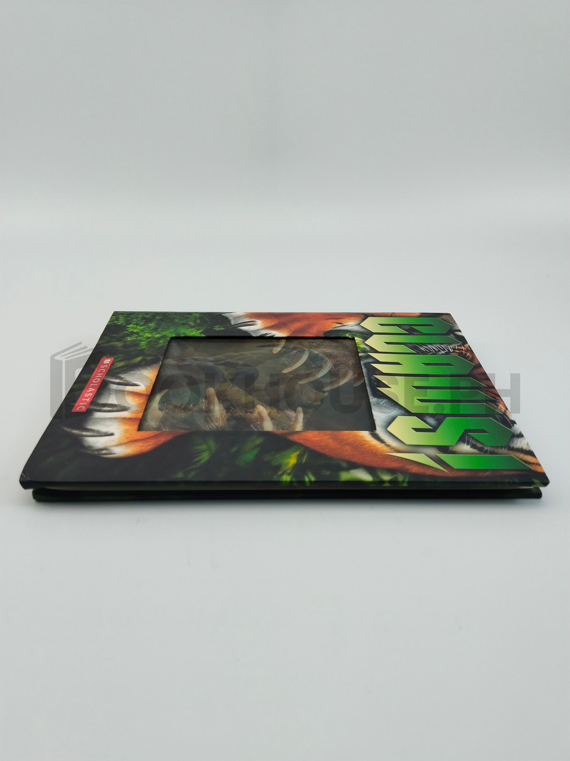 Claws! by Tammi J. Salzano - Image 4