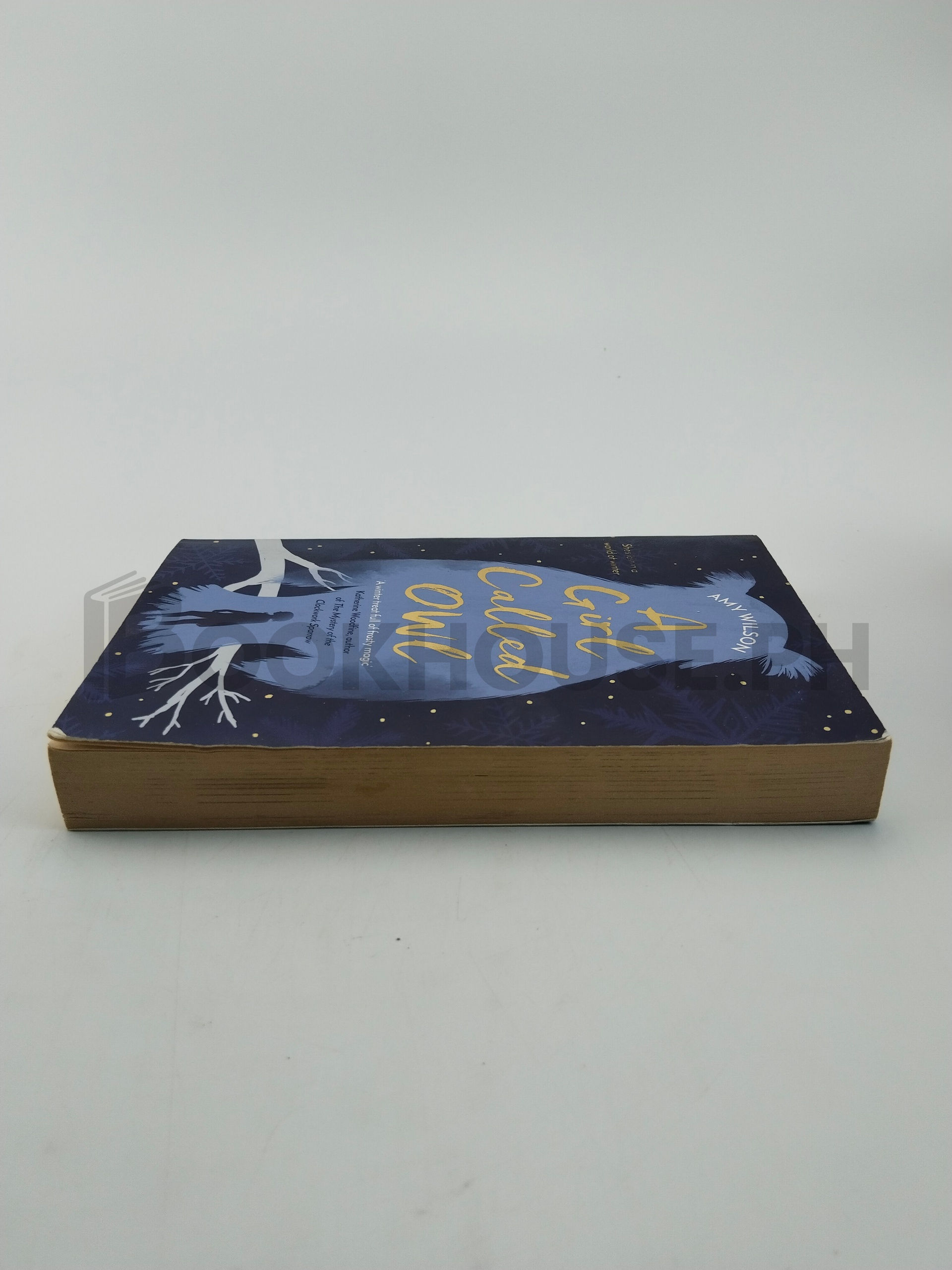 A Girl Called Owl by Amy Wilson - Image 4