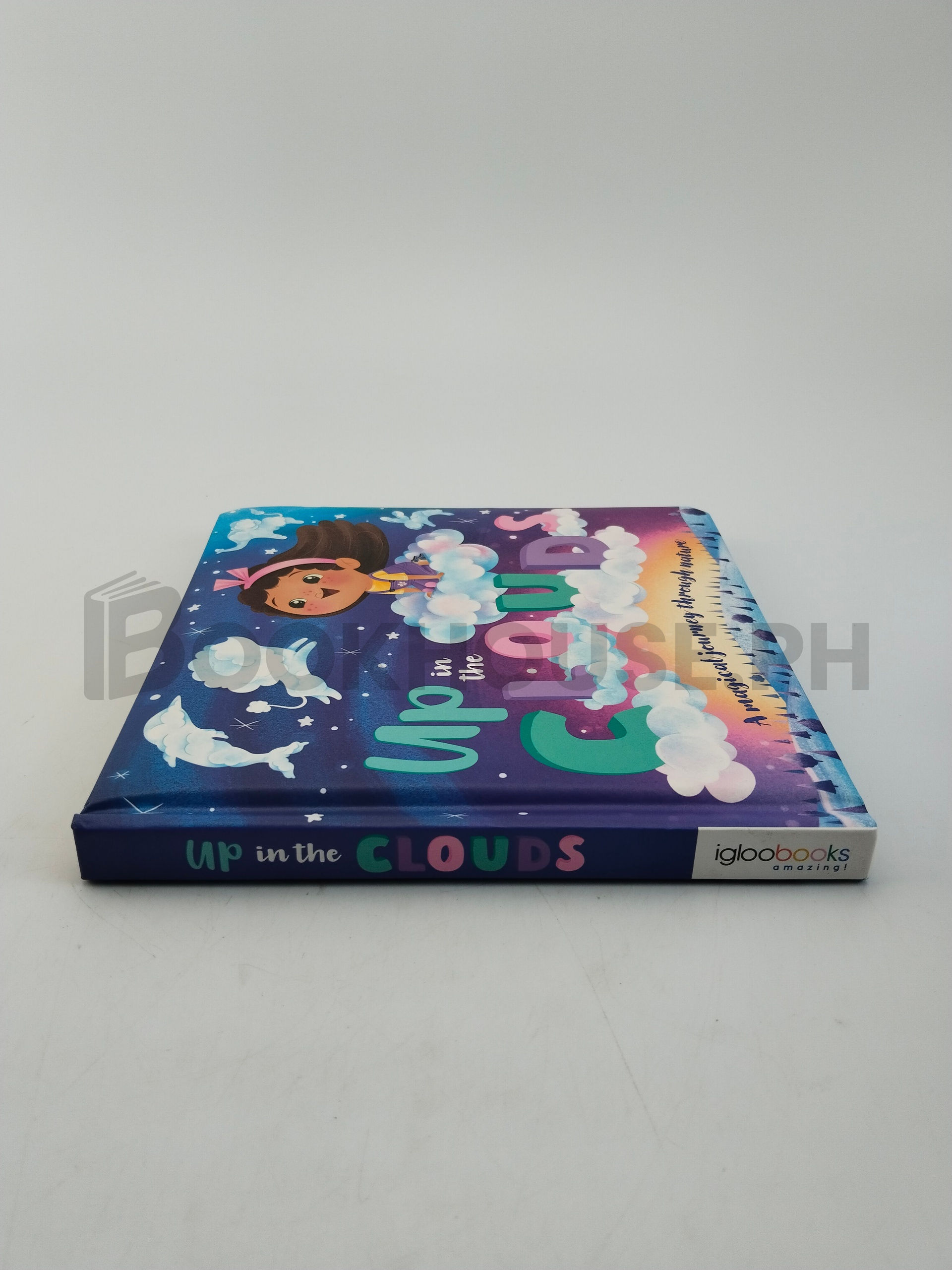 Up In The Clouds. by Igloo Books. - Image 3