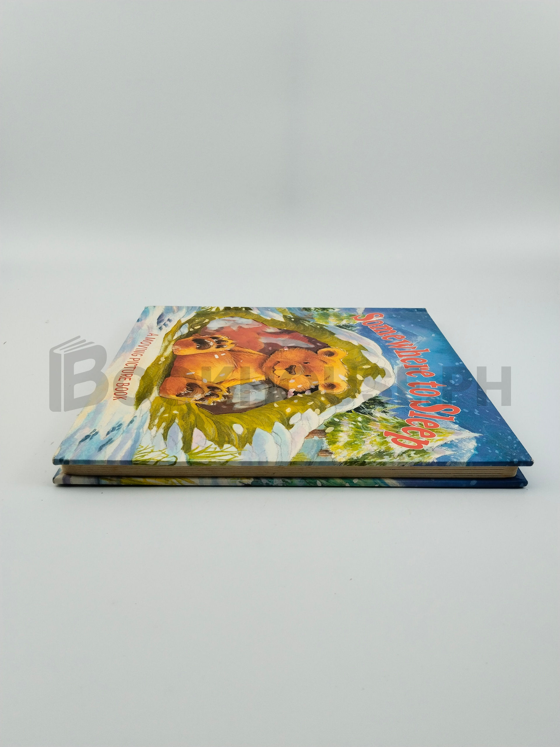 Somewhere To Sleep by Ted Smart - Image 4