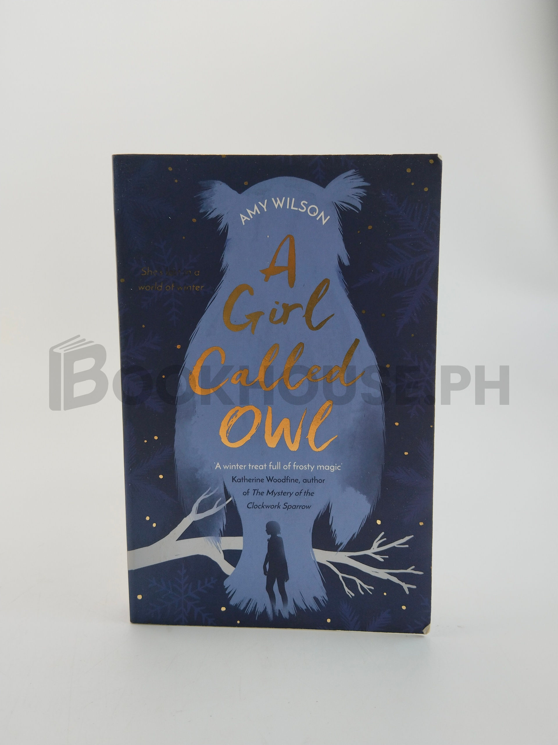 A Girl Called Owl by Amy Wilson