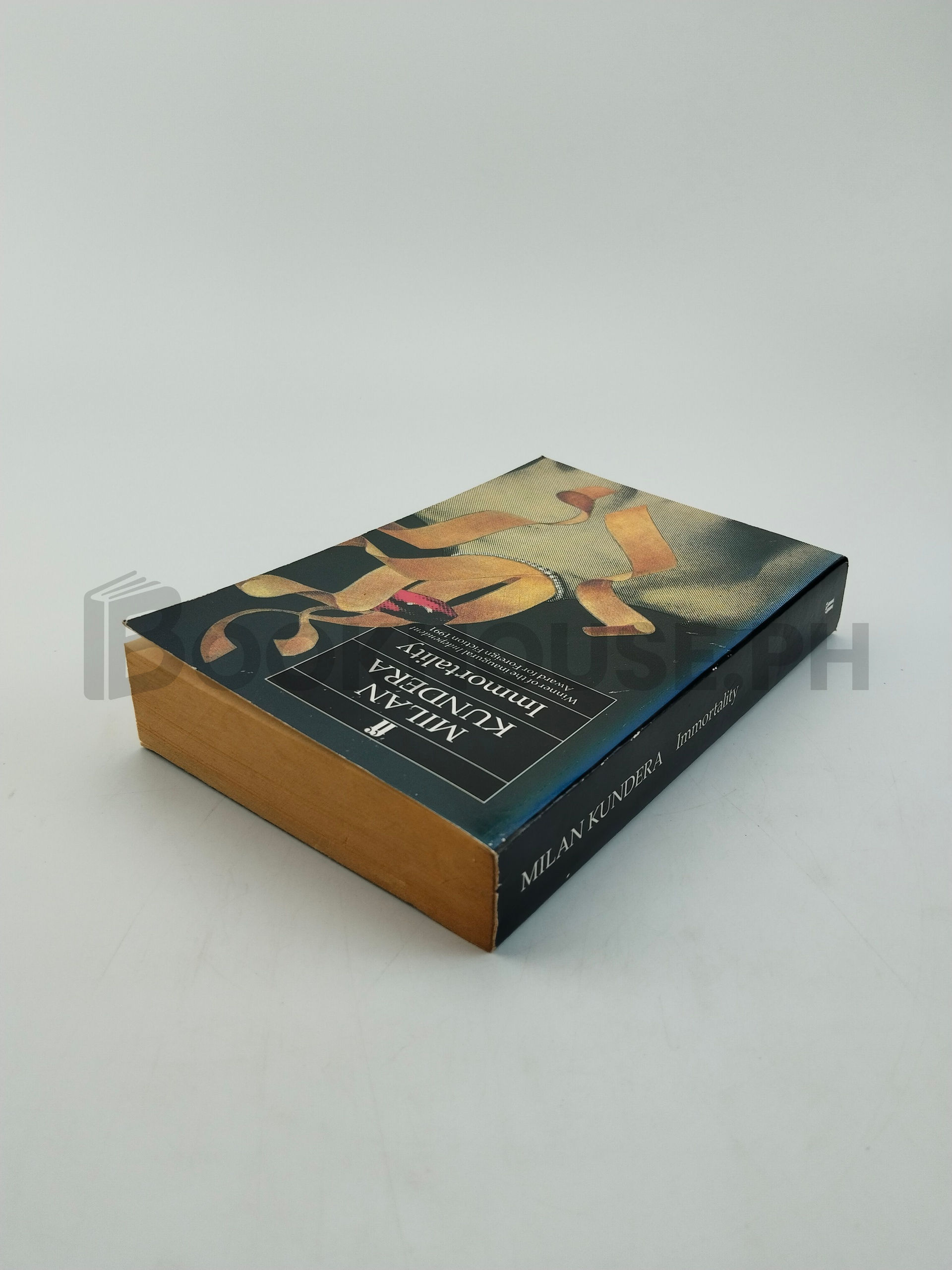 Immortality by Milan Kundera - Image 2