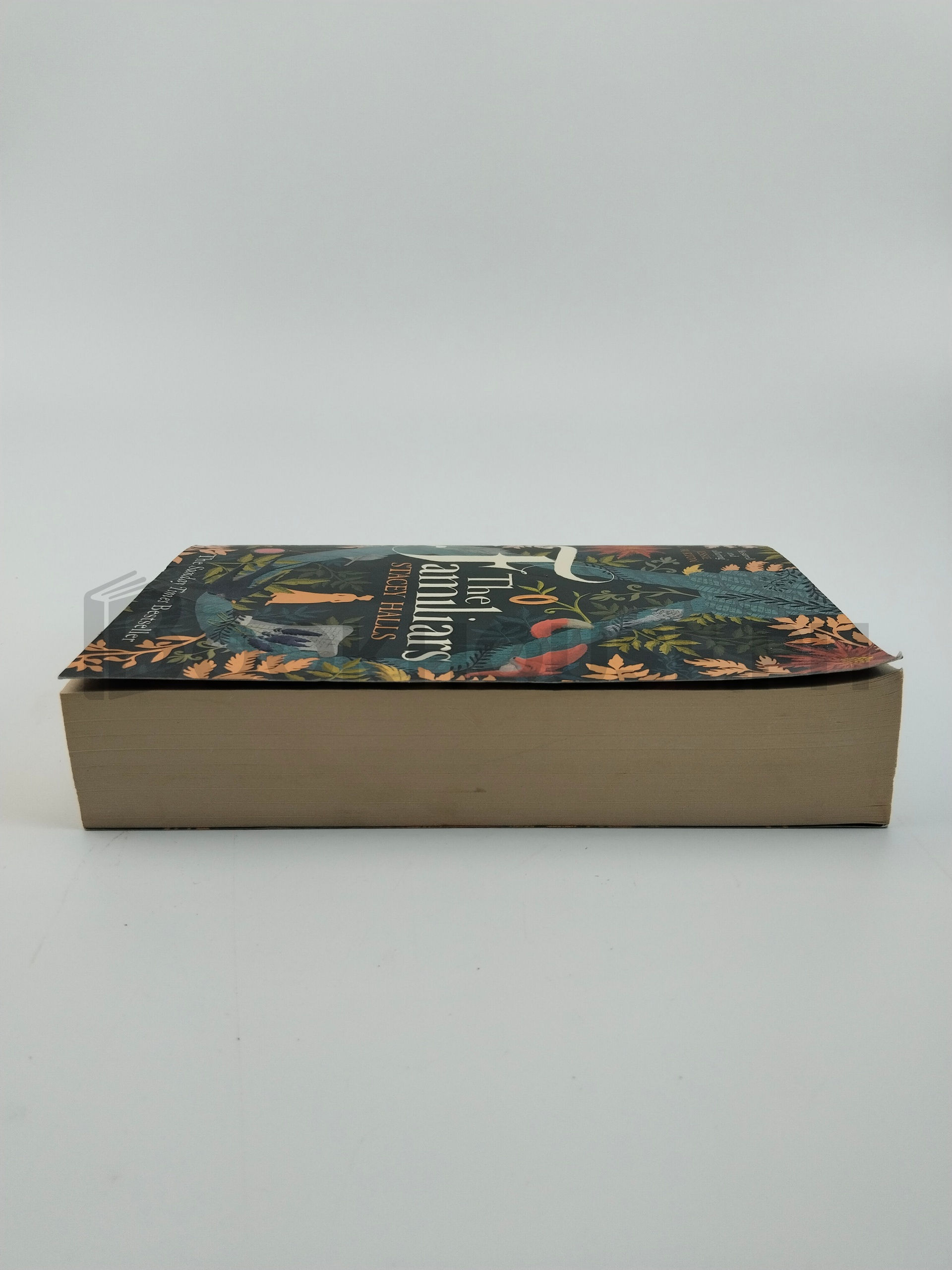 The Familiars by Stacey Halls - Image 4