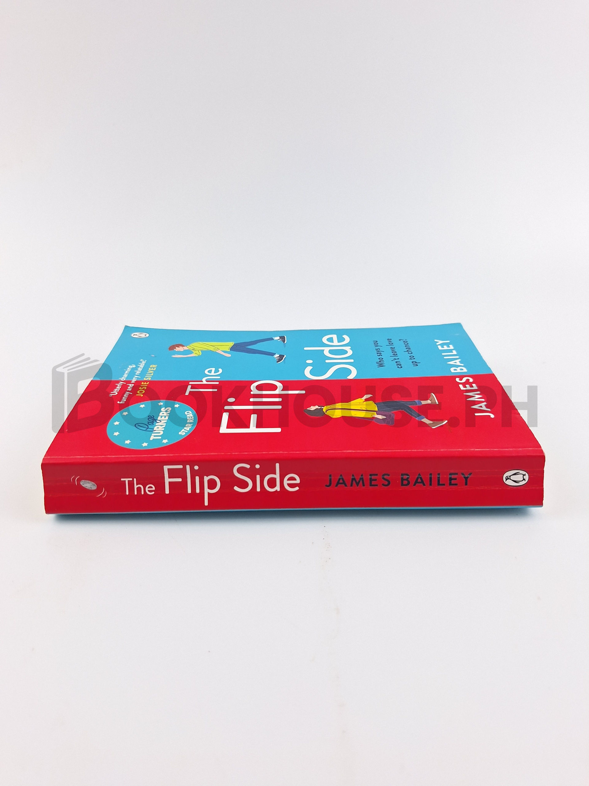 The Flip Side by James Bailey - Image 3
