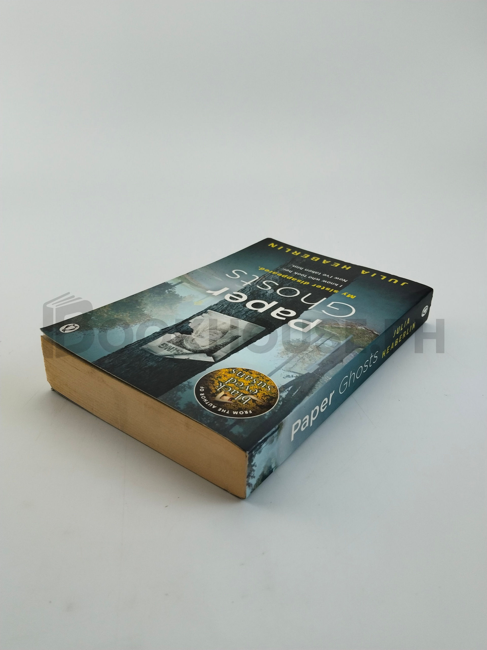 Paper Ghosts by Julia Heaberlin - Image 2