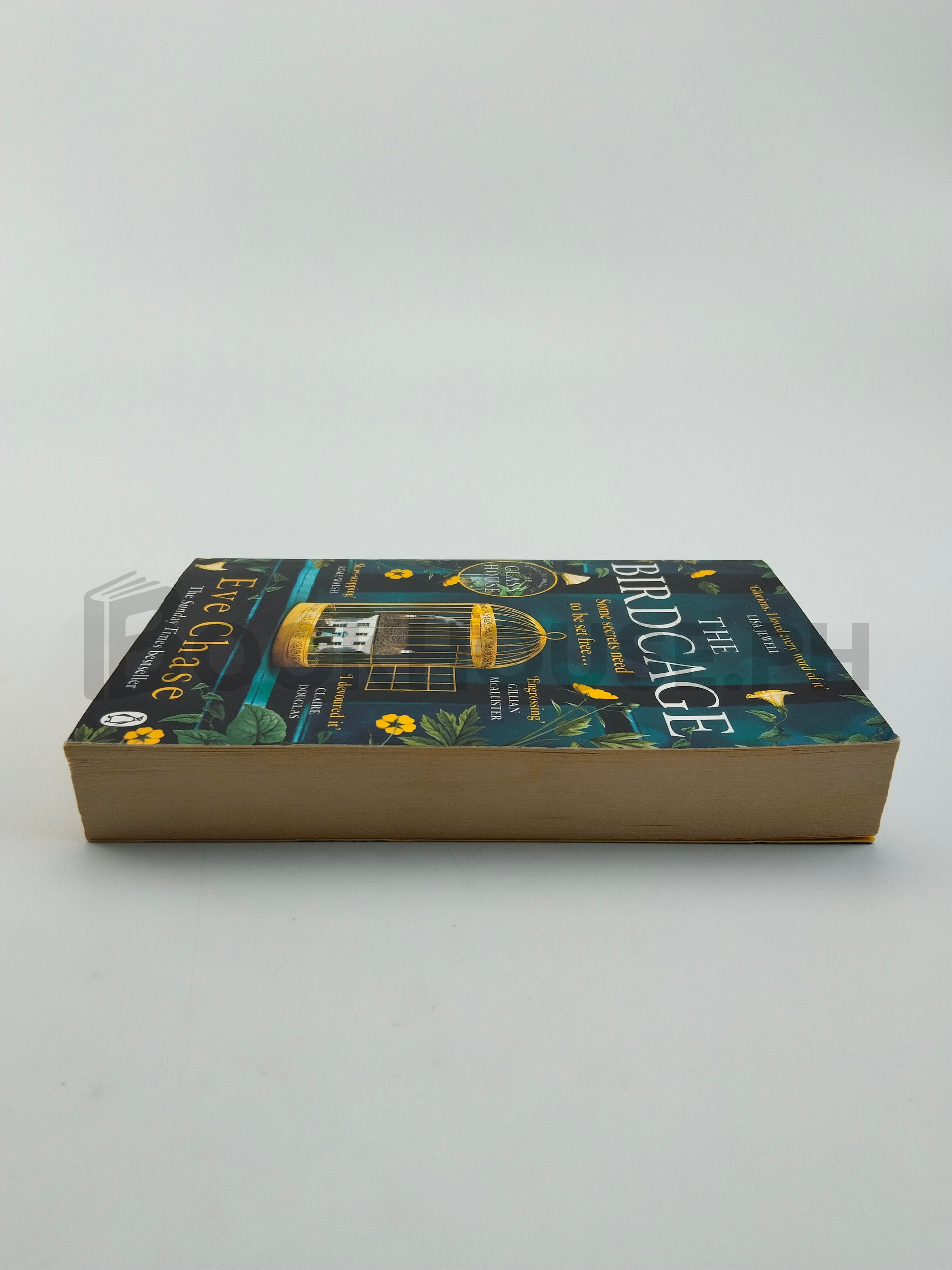 The Birdcage by Eve Chase - Image 4