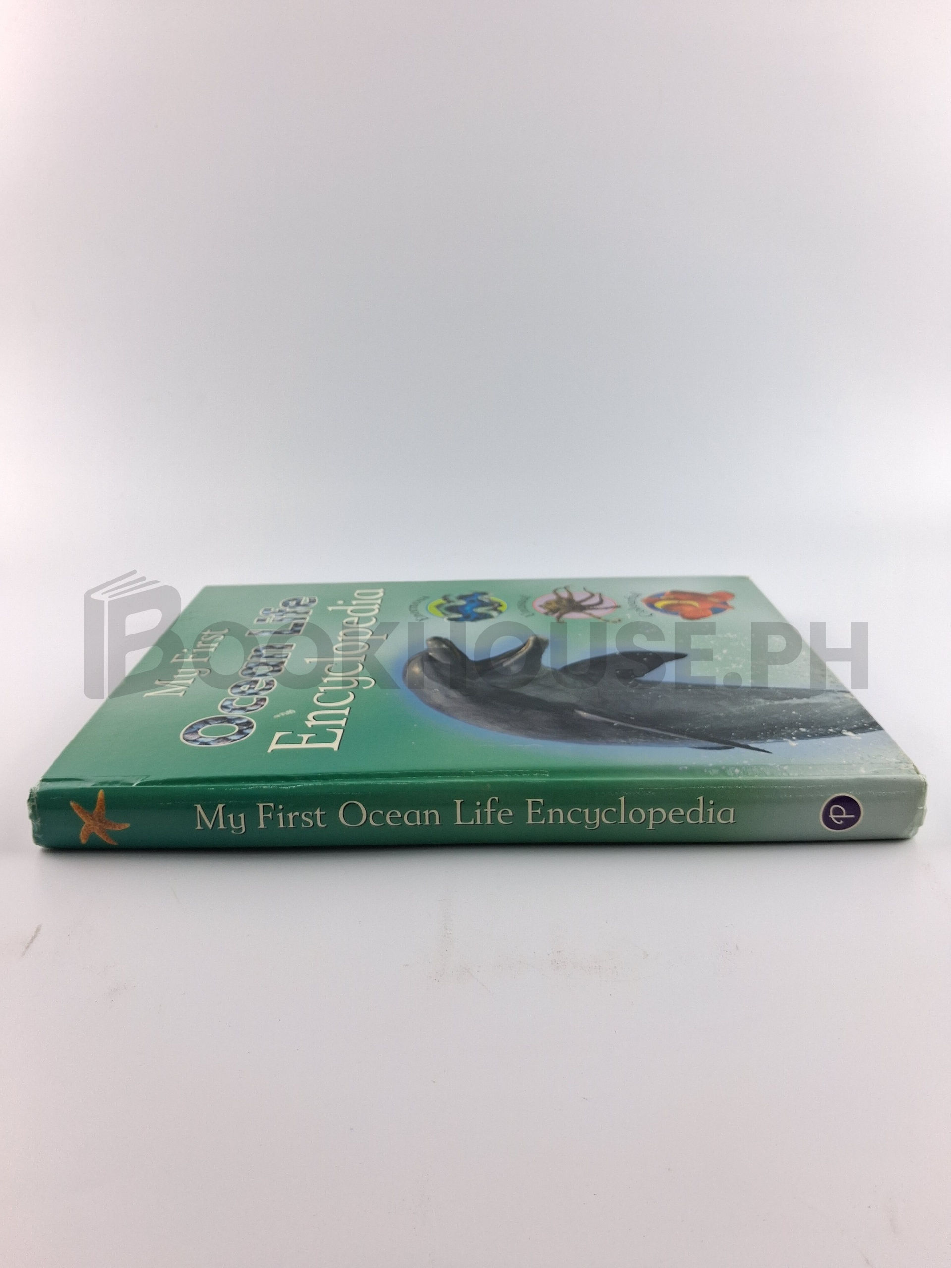 Children's Life Ocean Life Encyclopedia by Parragon Book Service Limited, Sally Morgan - Image 3