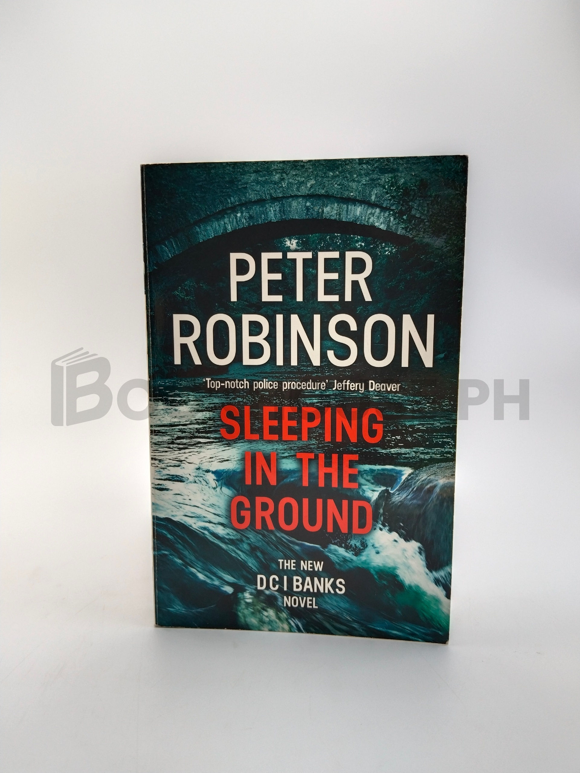 Sleeping In The Ground by Peter Robinson