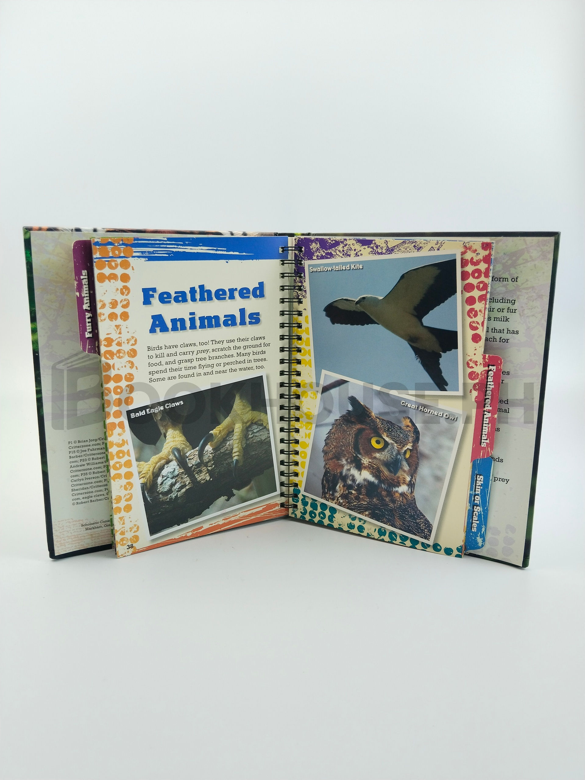 Claws! by Tammi J. Salzano - Image 5