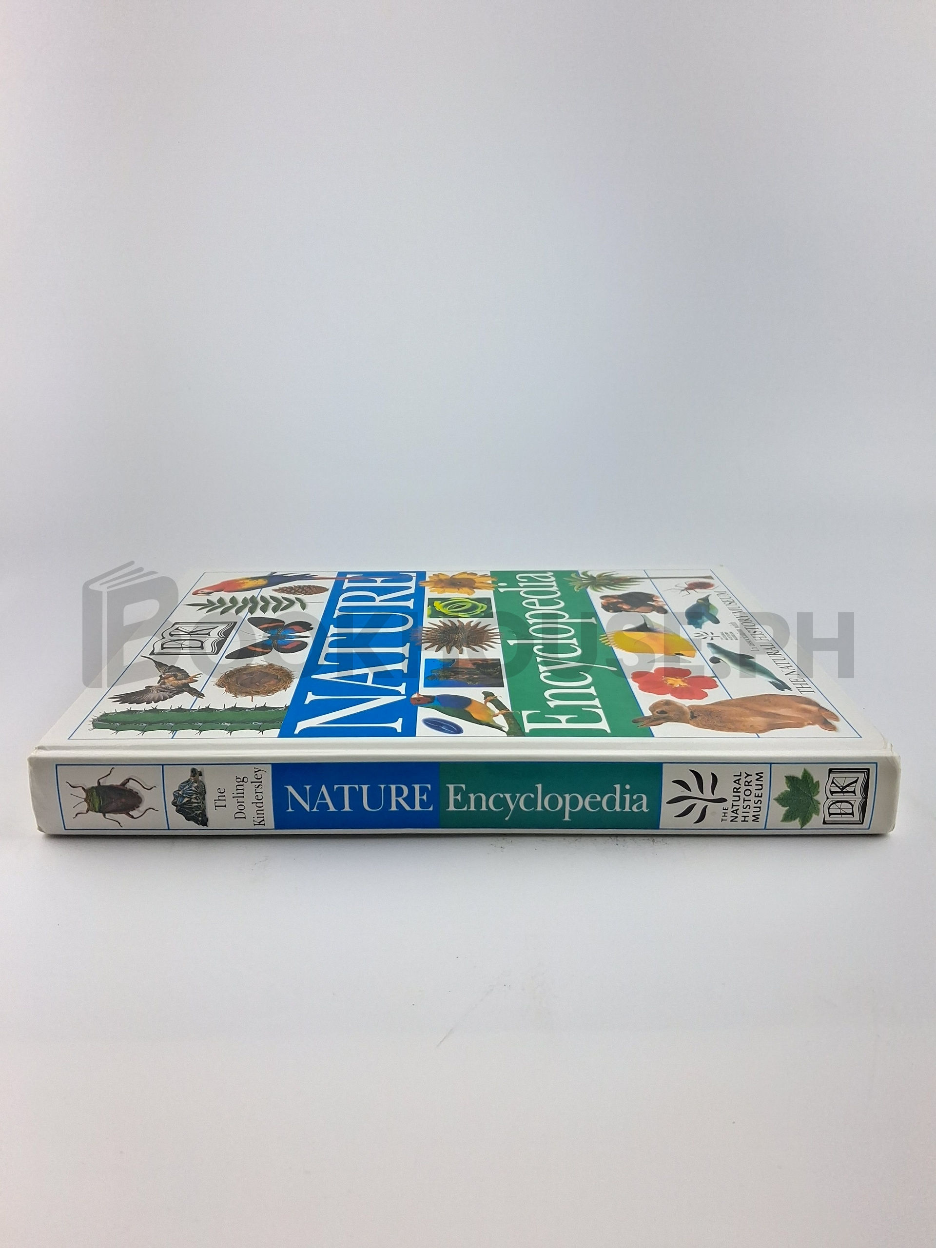 Nature Encyclopedia by Dorling Kindersley - Image 3