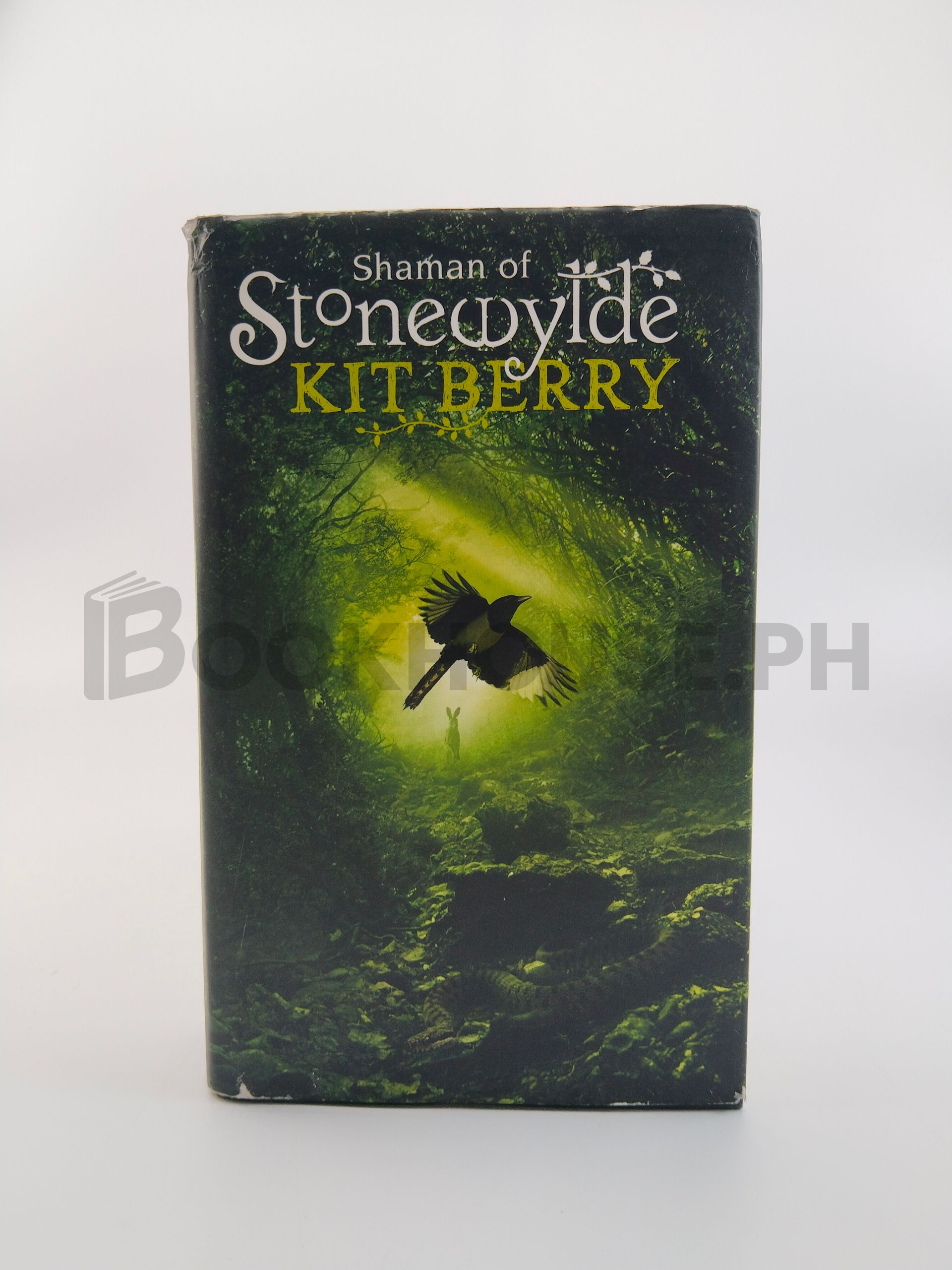 Shaman Of Stonewylde by Kit Berry