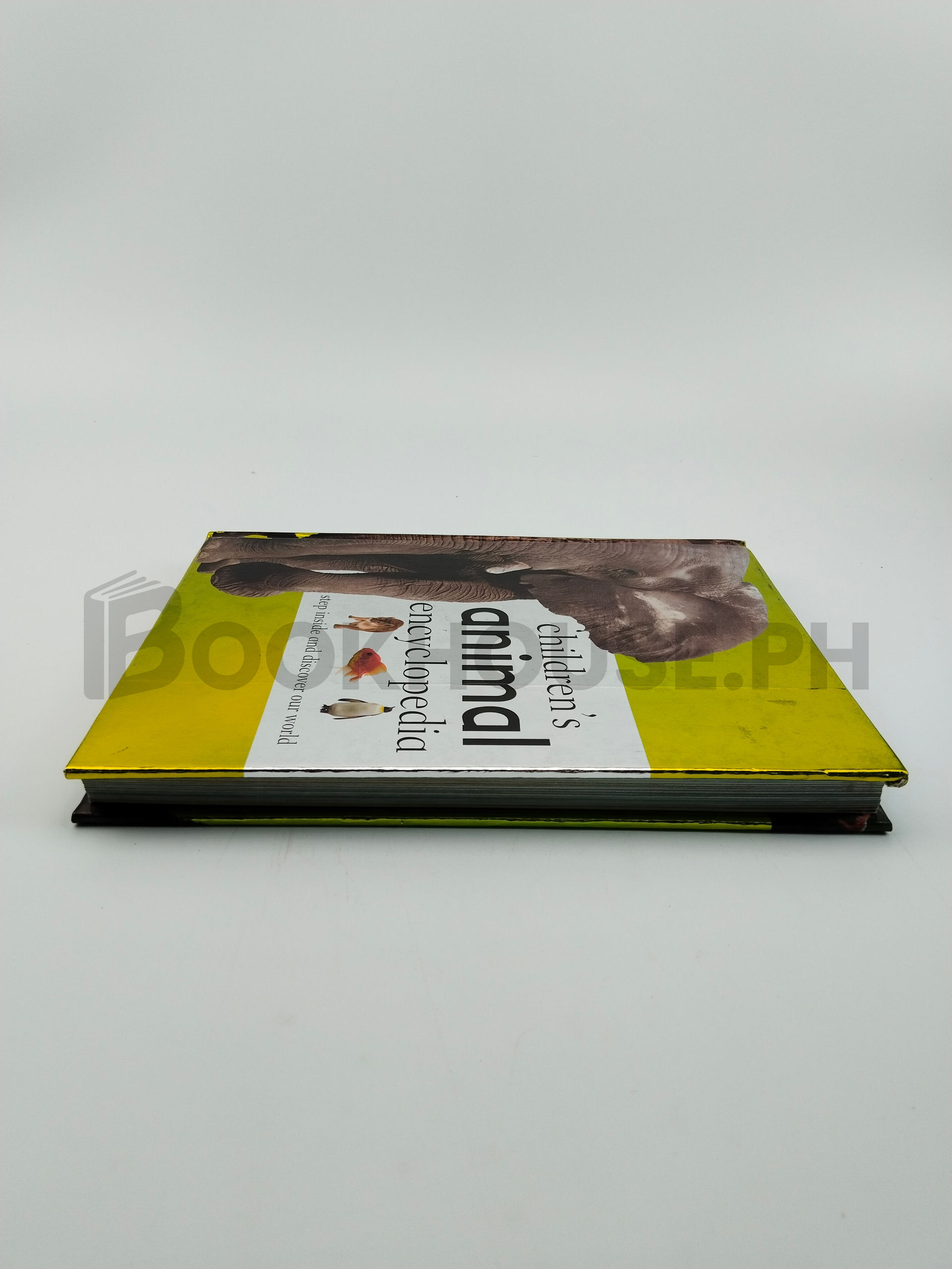 Children's Animal Encyclopedia by Parragon - Image 4