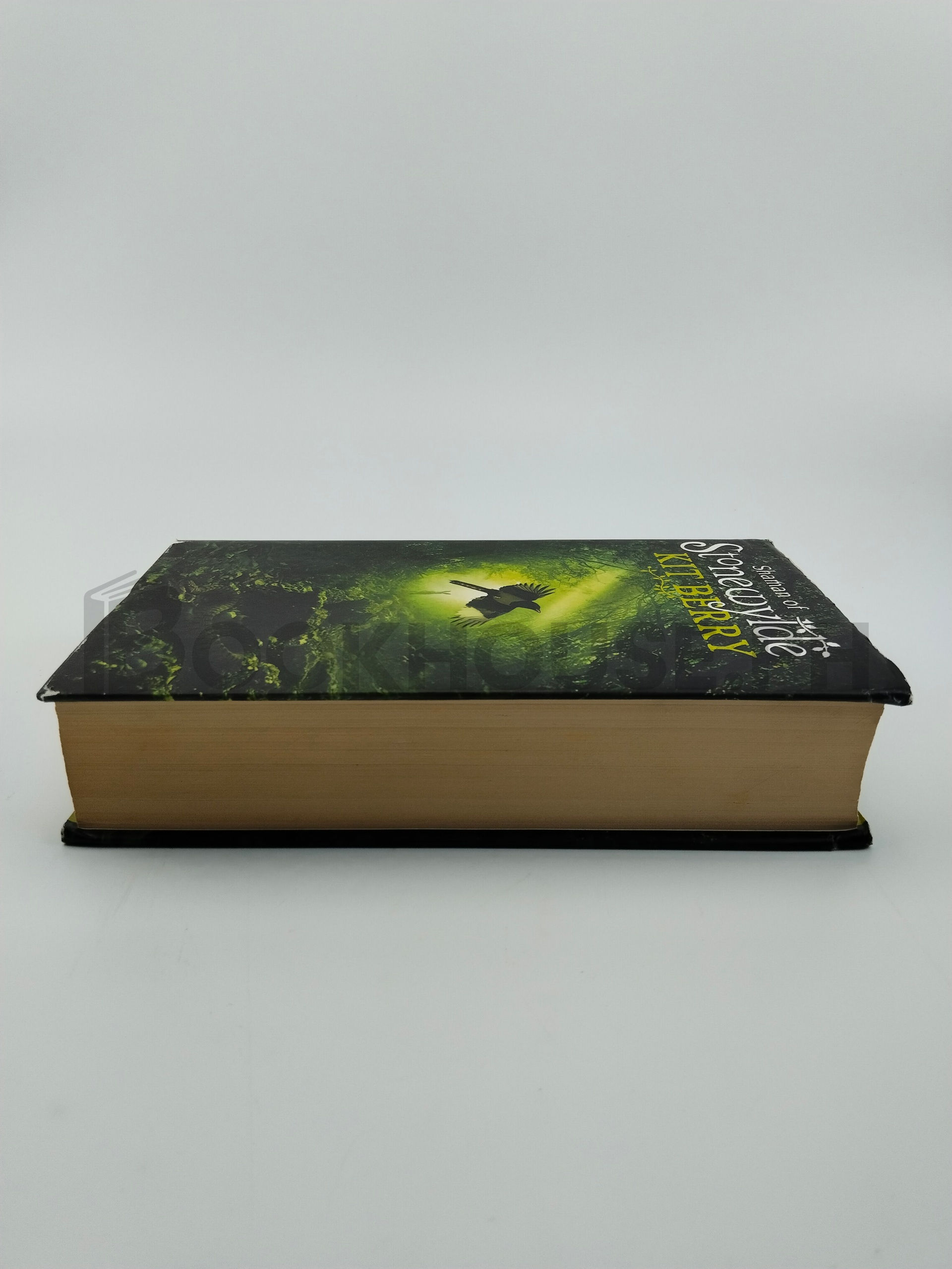 Shaman Of Stonewylde by Kit Berry - Image 4