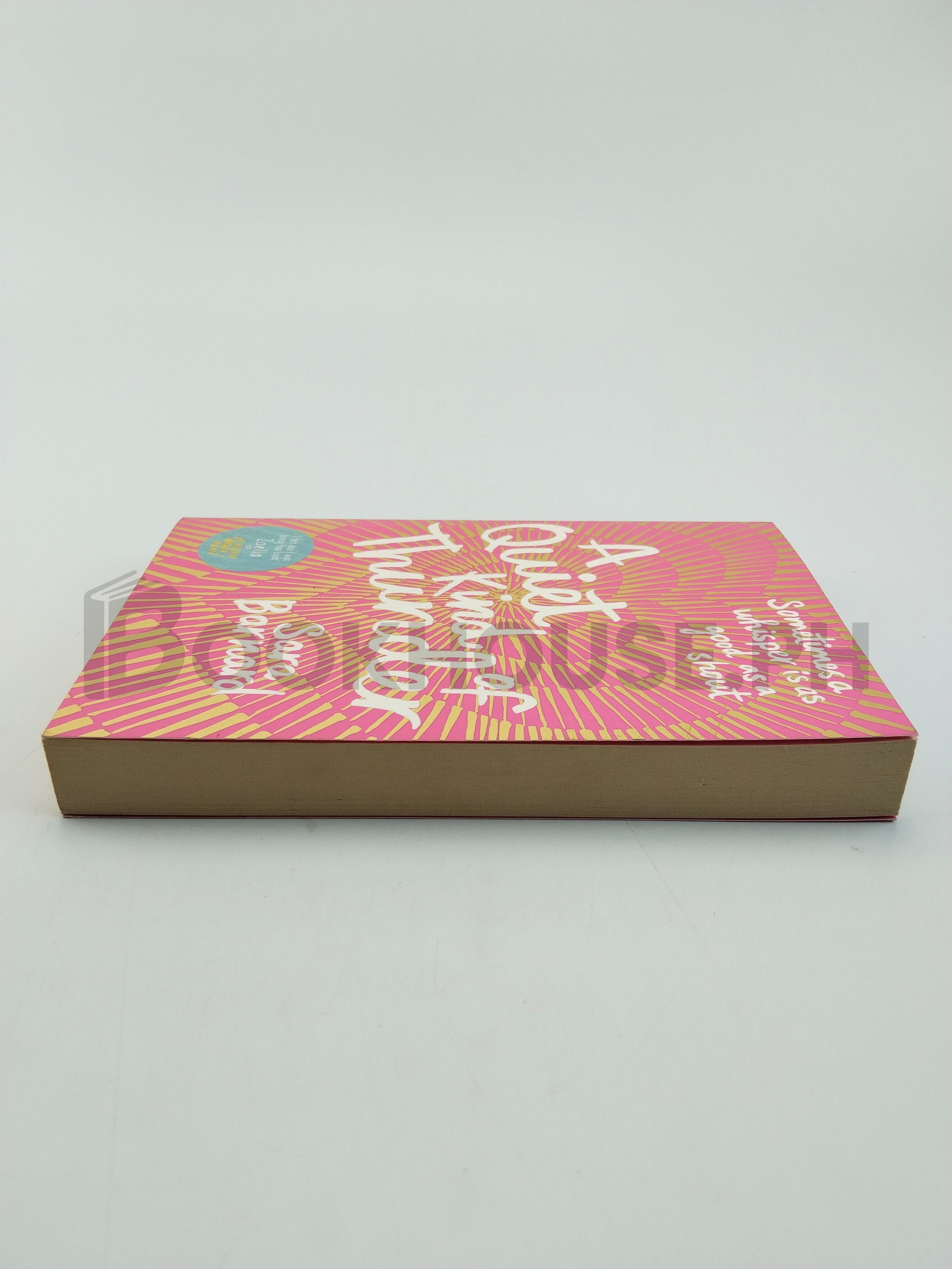 A Quiet Kind Of Thunder by Sara Barnard - Image 4