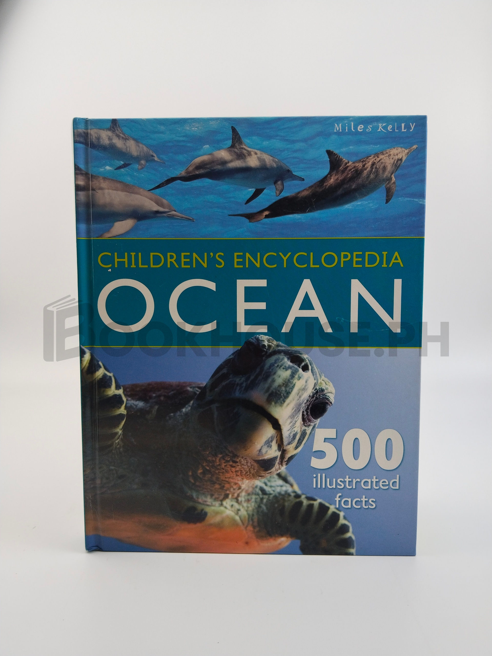 Children's Encyclopedia - Ocean by Belinda Gallagher
